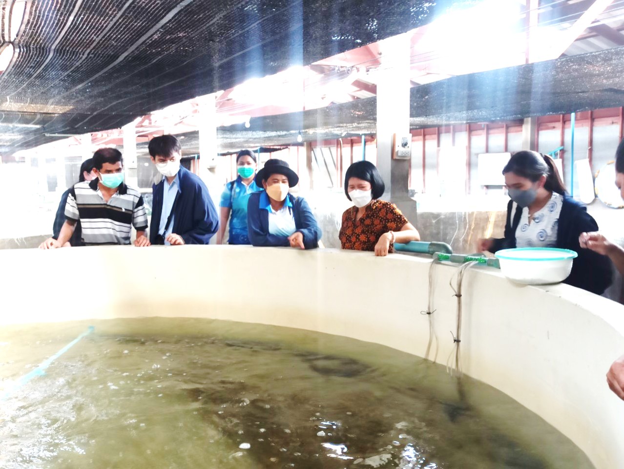 นางนันทวัน ศานติสาธิตกุล ผู้อำนวยการศูนย์วิจัยและพัฒนาการเพาะเลี้ยงสัตว์น้ำชายฝั่งระยอง ให้การต้อนรับคณะเจ้าหน้าที่ศูนย์วิจัยและพัฒนาอาหารสัตว์น้ำชลบุรีเข้าเยี่ยมชมงานผลิตลูกพันธุ์สัตว์น้ำของศูนย์ฯ..คลิก