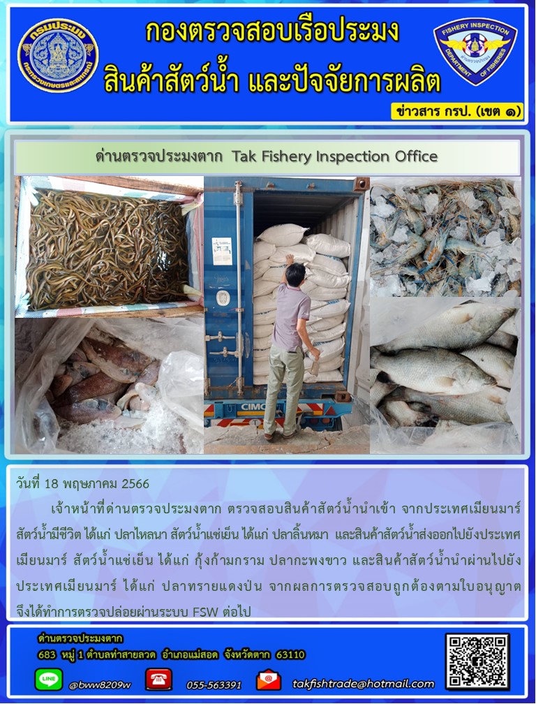 วันที่ 18 พฤษภาคม 2566           เจ้าหน้าที่ด่านตรวจประมงตาก ตรวจสอบสินค้าสัตว์น้ำนำเข้า จากประเทศเมียนมาร์ สัตว์น้ำมีชีวิต ได้แก่ ปลาไหลนา สัตว์น้ำแช่เย็น ได้แก่ ปลาลิ้นหมา  และสินค้าสัตว์น้ำส่งออกไปยังประเทศเมียนมาร์ สัตว์น้ำแช่เย็น ได้แก่ กุ้งก้ามกราม ปลากะพงขาว และสินค้าสัตว์น้ำนำผ่านไปยังประเทศเมียนมาร์ ได้แก่ ปลาทรายแดงป่น จากผลการตรวจสอบถูกต้องตามใบอนุญาต จึงได้ทำการตรวจปล่อยผ่านระบบ FSW ต่อไป..คลิก