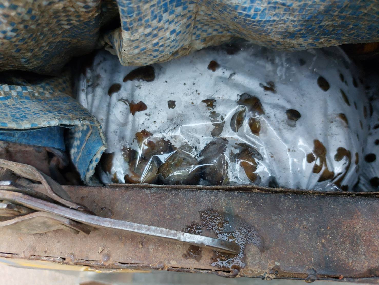 ผลการปฏิบัติงานด่านตรวจประมงสุรินทร์..คลิก