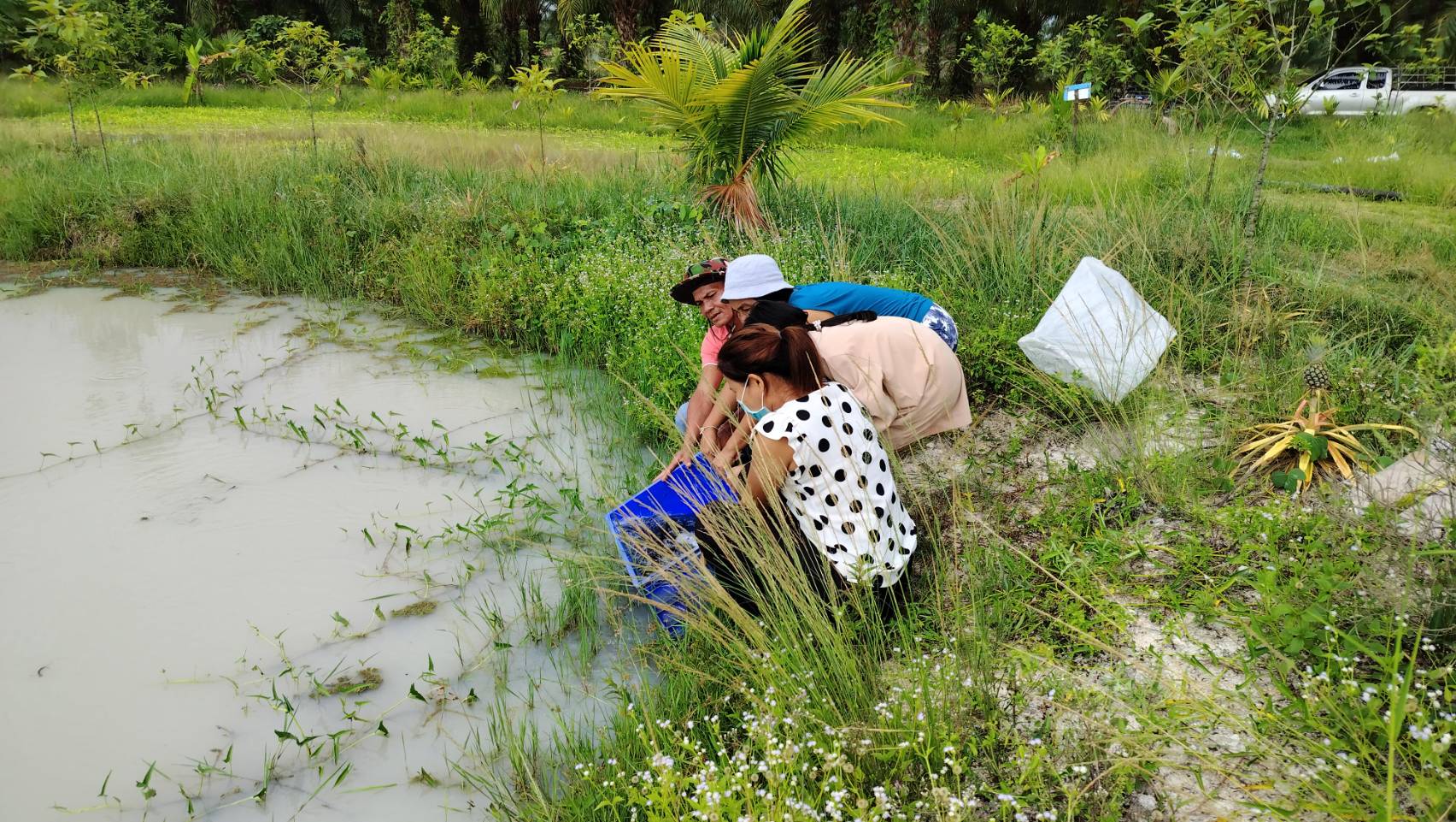 ประมงอำเภอป่าบอน ติดตามโครงการศูนย์เรียนรู้การเพิ่มประสิทธิภาพการผลิตสินค้าเกษตร ศูนย์เครือข่ายด้านประมง  ของ นายณรงค์ ศิริมุสิกะ พร้อมถอดบทเรียนการดำเนินกิจกรรมพัฒนาและยกระดับศูนย์เรียนรู้การเพิ่มประสิทธิภาพการผลิตสินค้าเกษตรเครือข่ายด้านการประมง..คลิก