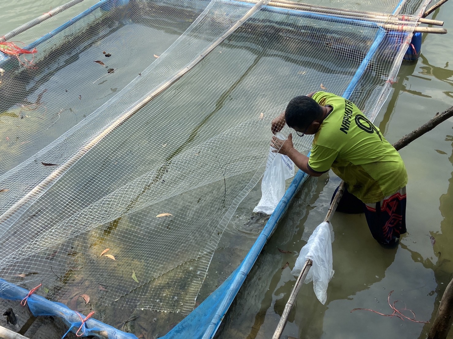ประมงอุบลฯ ติดตามงานโครงการธนาคารสินค้าเกษตร (กิจกรรมสนับสนุนธนาคารผลผลิตสัตว์น้ำแบบมีส่วนร่วม)..คลิก