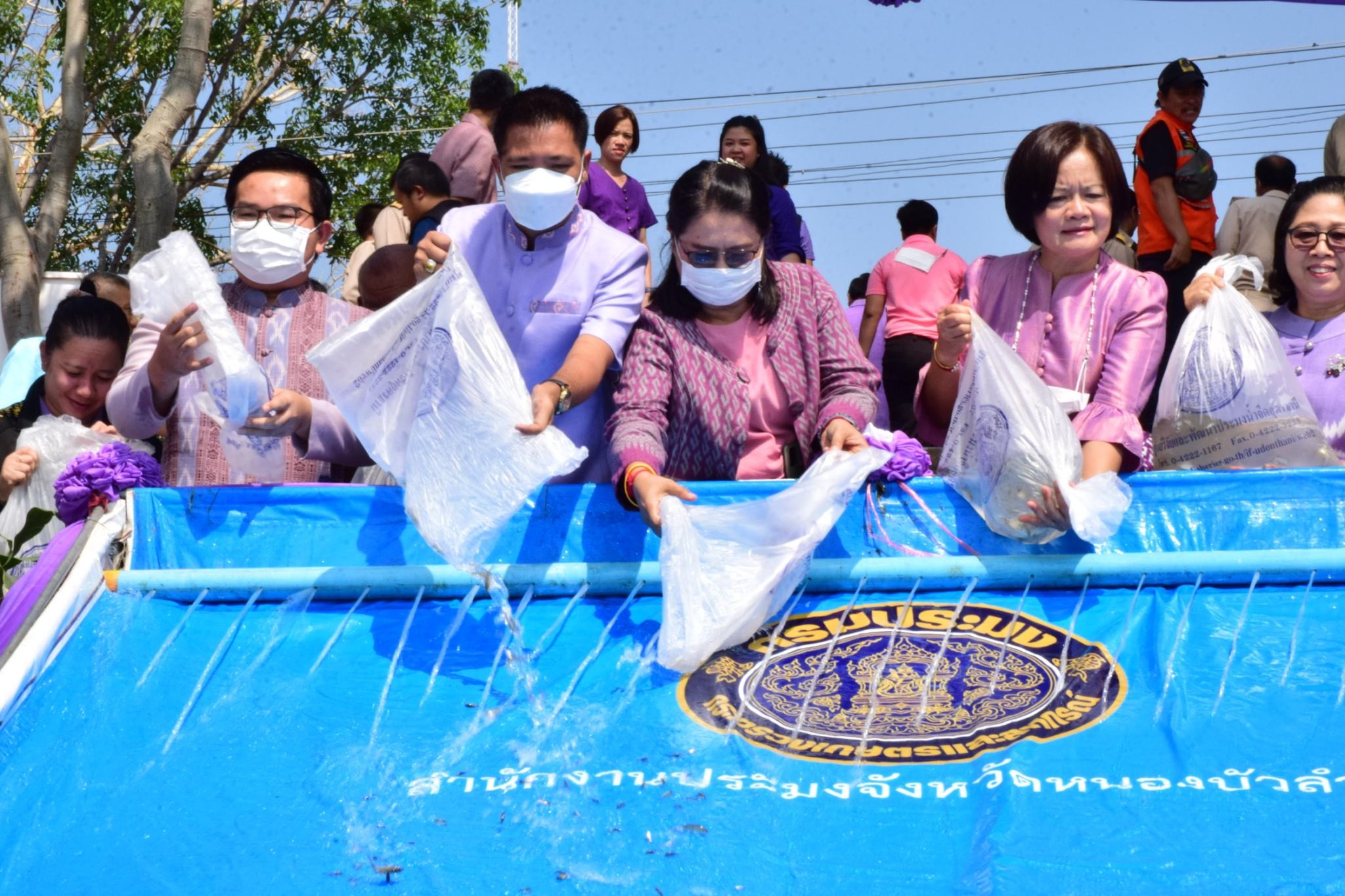 วันที่ 18 พฤษภาคม 2566 เวลา 09.00 น.  นายบุญหลาย กุลนารัตน์ ประมงจังหวัดหนองบัวลำภู พร้อมด้วยช้าราชการและเจ้าหน้าที่สำนักงานประมงจังหวัดหนองบัวลำภู ร่วมกับเทศบาลตำบลนาคำไฮ จัดพิธีปล่อยพันธ์ุสัตว์น้ำเพื่อเฉลิมพระเกียรติ สมเด็จพระนางเจ้าสุทิดา พัชรสุธาพิมลลักษณ พระบรมราชินี เนื่องในโอกาสวันเฉลิมพระชนมพรรษา 45 พรรษา โดยได้รับการสนับสนุนพันธุ์สัตว์น้ำปลากินพืช(ปลาไน)จากศูนย์วิจัยและพัฒนาการเพาะเลี้ยงสัตว์น้ำจืดอุดรธานี จำนวน 200,000 ตัว