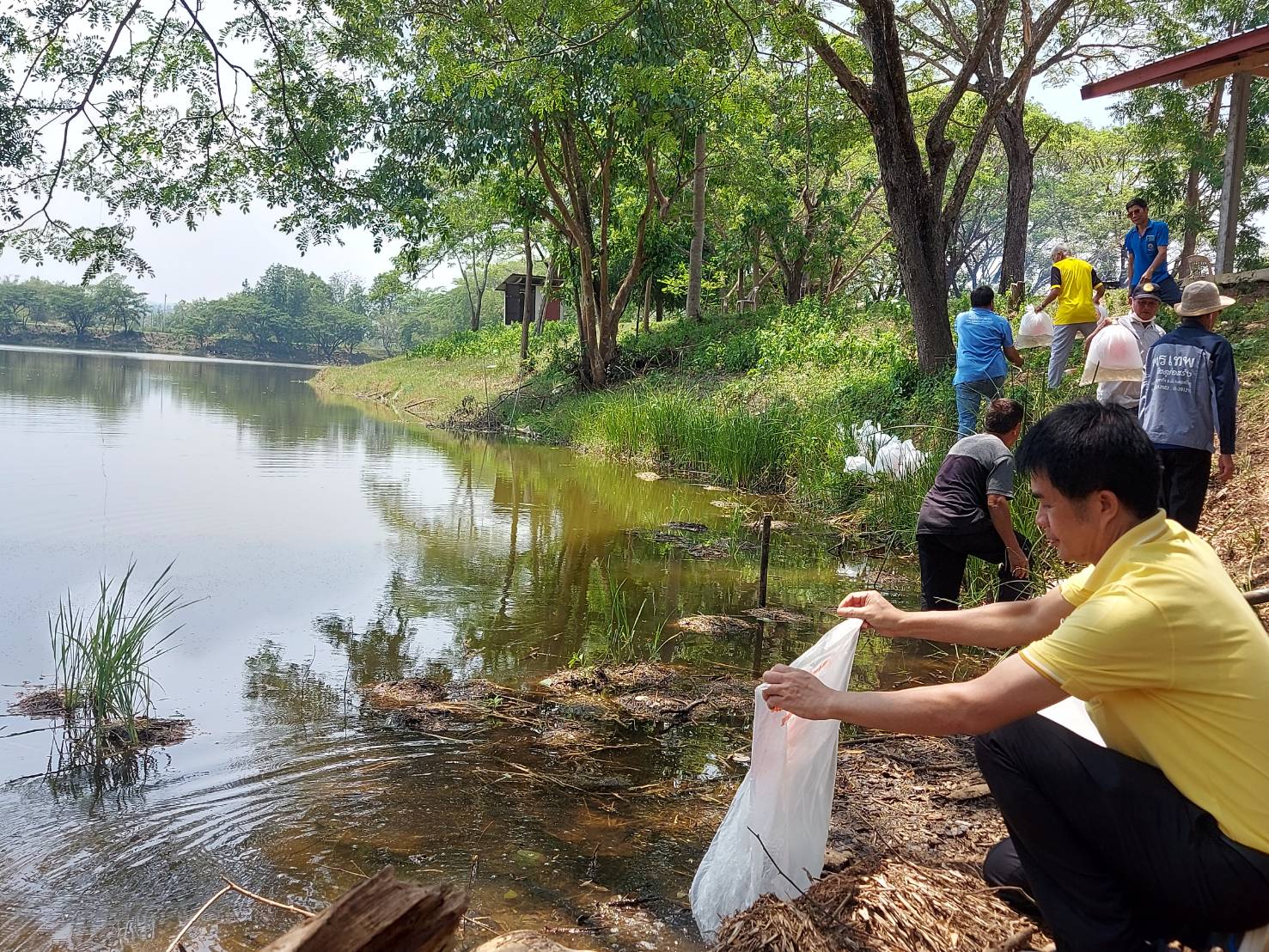 วันที่ 19 พฤษภาคม 2566 นายสมภาร วังคีรี ประมงอำเภอเมืองหนองบัวลำภู พร้อมด้วยนายวัชรเกียรติ ศรีแสน นักวิชาการประมงปฎิบัติการ และนายจัตตุพร อาจวิชัยนักวิชาการประมง ศูนย์วิจัยและพัฒนาการเพาะเลี้ยงสัตว์น้ำจืดอุดรธานี และคณะกรรมการแหล่งน้ำห้วยกระทอ ต.กุดจิก อ.เมือง จ.หนองบัวลำภู ร่วมปล่อยพันธุ์ปลาตะเพียน 20,000 ตัว
