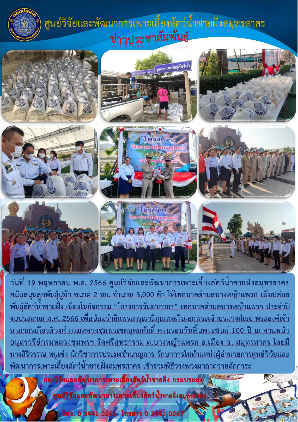 ศูนย์วิจัยและพัฒนาการเพาะเลี้ยงสัตว์น้ำชายฝั่งสมุทรสาคร สนับสนุนลูกพันธุ์ปูม้า ขนาด 2 ซม. จำนวน 3,000 ตัว..คลิก