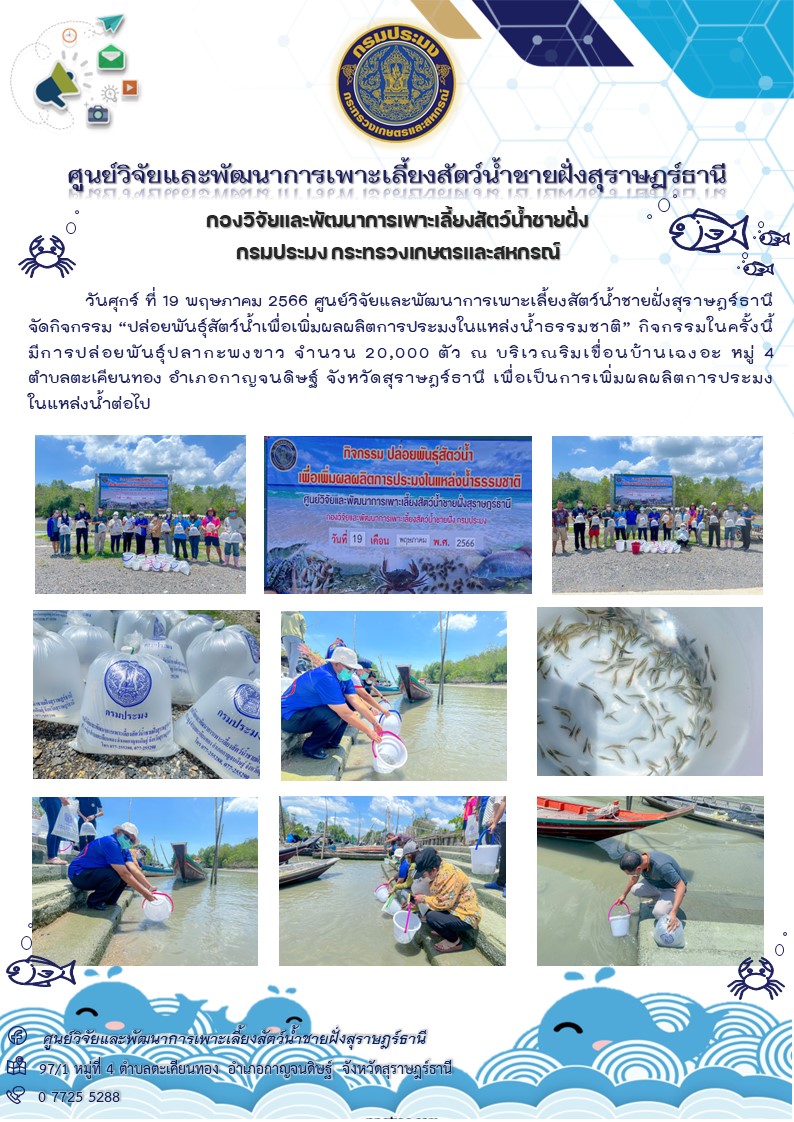 จัดกิจกรรม “ปล่อยพันธุ์สัตว์น้ำเพื่อเพิ่มผลผลิตการประมงในแหล่งน้ำธรรมชาติ”..คลิก