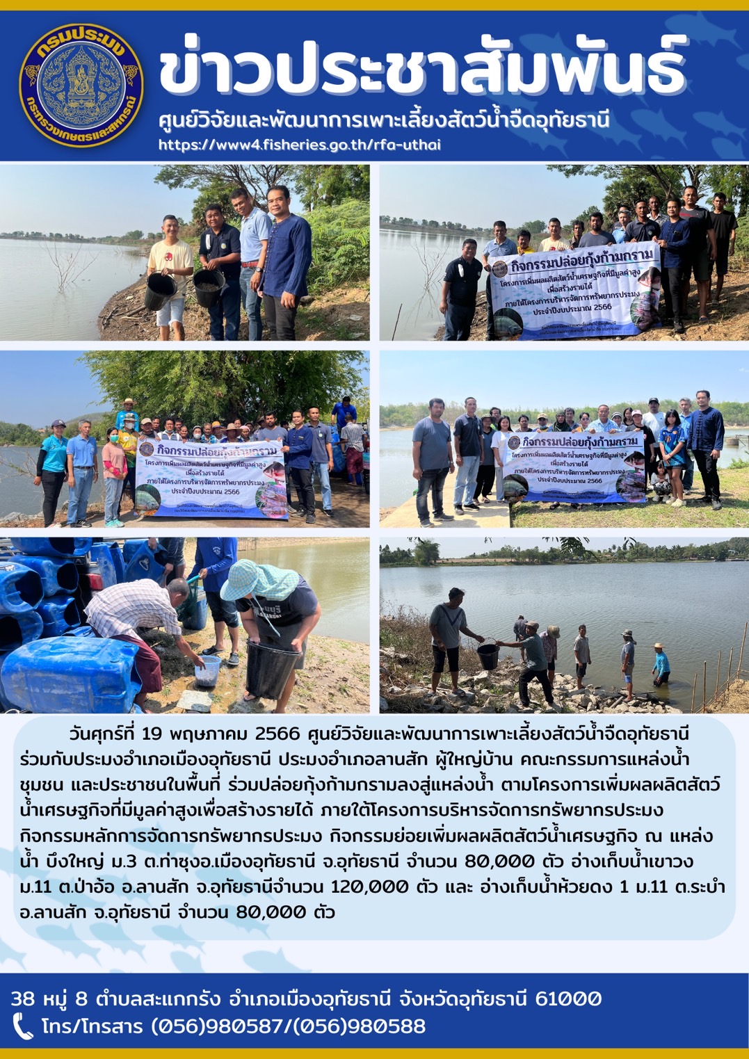 วันศุกร์ที่ 19 พฤษภาคม 2566 ศูนย์วิจัยและพัฒนาการเพาะเลี้ยงสัตว์น้ำจืดอุทัยธานี ประมงอำเภอเมืองอุทัยธานี ประมงอำเภอลานสัก ผู้ใหญ่บ้าน คณะกรรมการแหล่งน้ำชุมชน และประชาชนในพื้นที่ ร่วมปล่อยกุ้งก้ามกรามลงสู่แแหล่งน้ำ ตามโครงการเพิ่มผลผลิตสัตว์น้ำเศรษฐกิจที่มีมูลค่าสูงเพื่อสร้างรายได้ ณ แหล่งน้ำบึงใหญ่ ม. 3 ต.ท่าซุง อ.เมือง จ.อุทัยธานี จำนวน 80,000 ตัว อ่างเก็บน้ำเขาวง ม. 11 ต.ป่าอ้อ อ.ลานสัก จ.อุทัยธานี จำนวน 120,000 ตัว และอ่างเก็บน้ำห้วยดง ม. 11 ต.ระบำ อ.ลานสัก จ.อุทัยธานี จำนวน 80,000 ตัว เป็นที่เรียบร้อยแล้ว