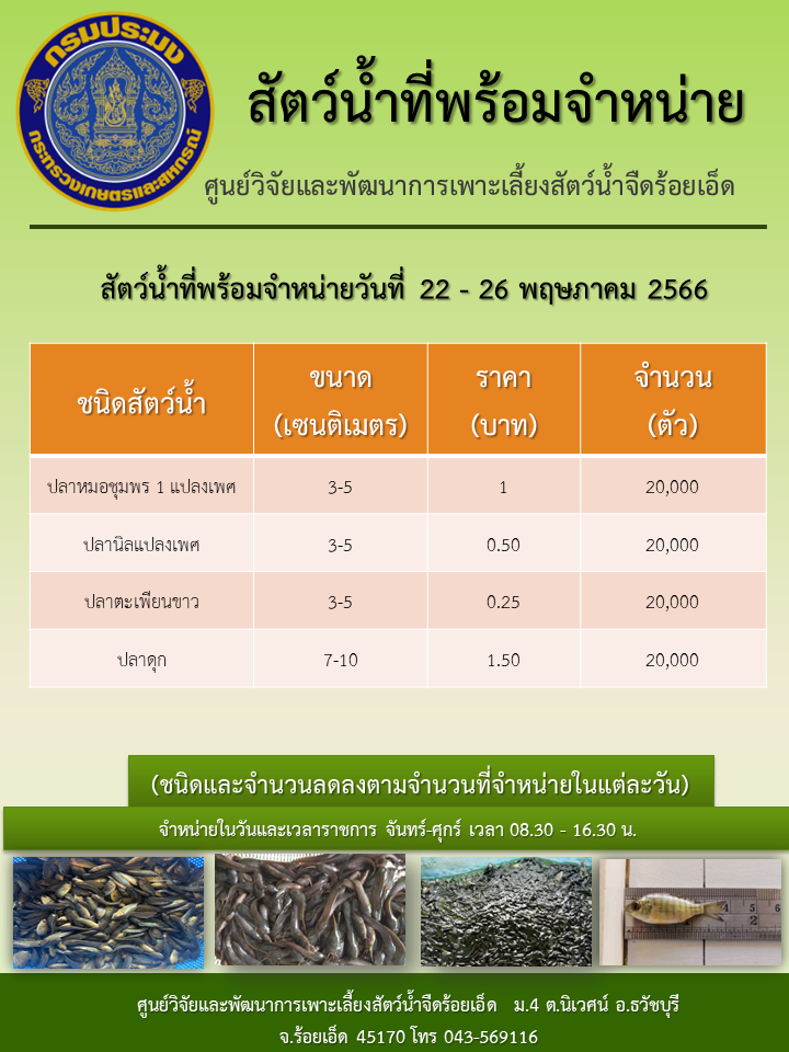 สัตว์น้ำที่พร้อมจำหน่ายวันที่ 8-12 พฤษภาคม 2566..คลิก