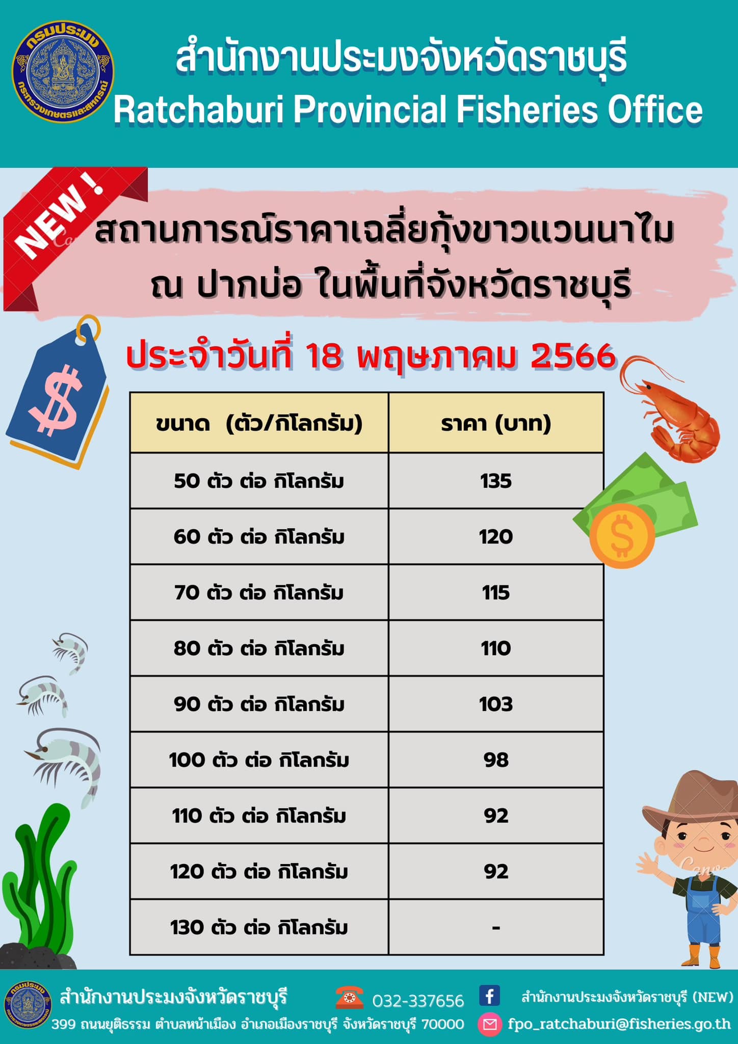 สถานการณ์ราคาเฉลี่ยกุ้งขาวแวนนาไม ณ ปากบ่อ ในพื้นที่จังหวัดราชบุรี ประจำวันที่ 18 พฤษภาคม 2566..คลิก