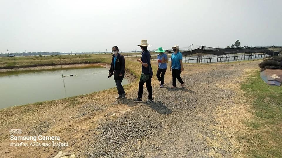 ข่าวประชาสัมพันธ์ประจำวันที่ 28 เมษายน 2566 ศูนย์วิจัยและพัฒนาการเพาะเลี้ยงสัตว์น้ำจืดศรีสะเกษ ฉบับที่ 49