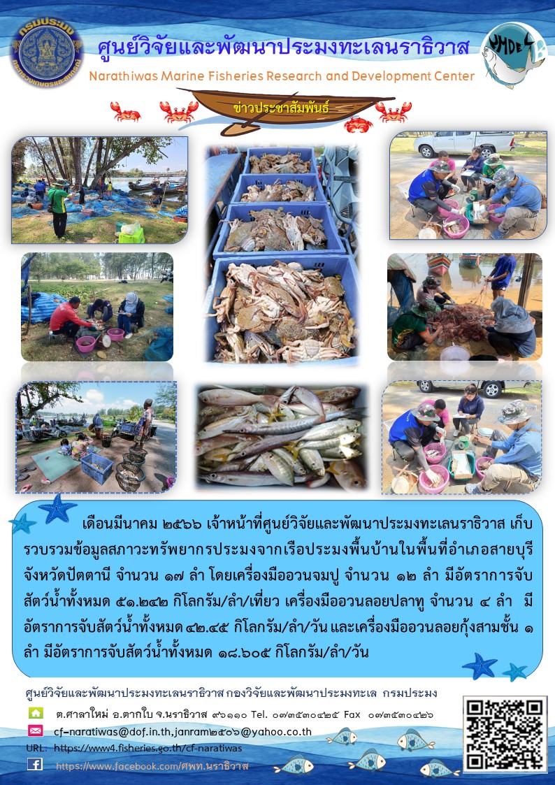 เดือนมีนาคม 2566 เจ้าหน้าที่ศูนย์วิจัยและพัฒนาประมงทะเลนราธิวาส เก็บรวบรวมข้อมูลสภาวะทรัพยากรประมงจากเรือประมงพื้นบ้านในพื้นที่อำเภอสายบุรี จังหวัดปัตตานี จำนวน 17 ลำ โดยเครือมืออวนจมปู จำนวน 12 ลำ มีอัตราการจับสัตว์น้ำทั้งหมด 51.242 กิโลกรัม/ลำ/เที่ยว เครืองมืออวนลอยปลาทู จำนวน 4 ลำ มีอัตราการจับสัตว์น้ำทั้งหมด 42.45 กิโลกรัม/ลำ/วัน และเครื่องมืออวนลอยกุ้งสามชั้น 1 ลำ มีอัตราการจับสัตว์น้ำทั้งหมด 18.605 กิโลกรัม/ลำ/วัน..คลิก