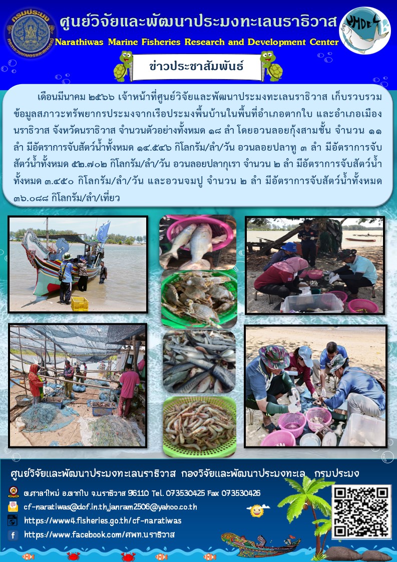 เดือนมีนาคม 2566 เจ้าหน้าที่ศูนย์วิจัยและพัฒนาประมงทะเลนราธิวาส เก็บรวบรวมข้อมูลสภาวะทรัพยากรประมงจากเรือประมงพื้นบ้านในพื้นที่อำเภอตากใบ และอำเภอเมืองนราธิวาส จังหวัดนราธิวาส จำนวนตัวอย่างทั้งหมด 18 ลำ โดยอวนลอยกุ้งสามชั้น จำนวน 11 ลำ มีอัตราการจับสัตว์น้ำทั้งหมด 14.546 กิโลกรัม/ลำ/วัน อวนลอยปลาทู 3 ลำ มีอัตราการจับสัตว์น้ำทั้งหมด 52.702 กิโลกรัม/ลำ/วัน อวนลอยปลากุเรา จำนวน 2 ลำ มีอัตราการจับสัตว์น้ำ ทั้งหมด 3.450 กิโลกรัม/ลำ/วัน และอวนจมปู จำนวน 2 ลำ มีอัตราการจับสัตว์น้ำทั้งหมด 36.088 กิโลกรัม/ลำ/เที่ยว..คลิก