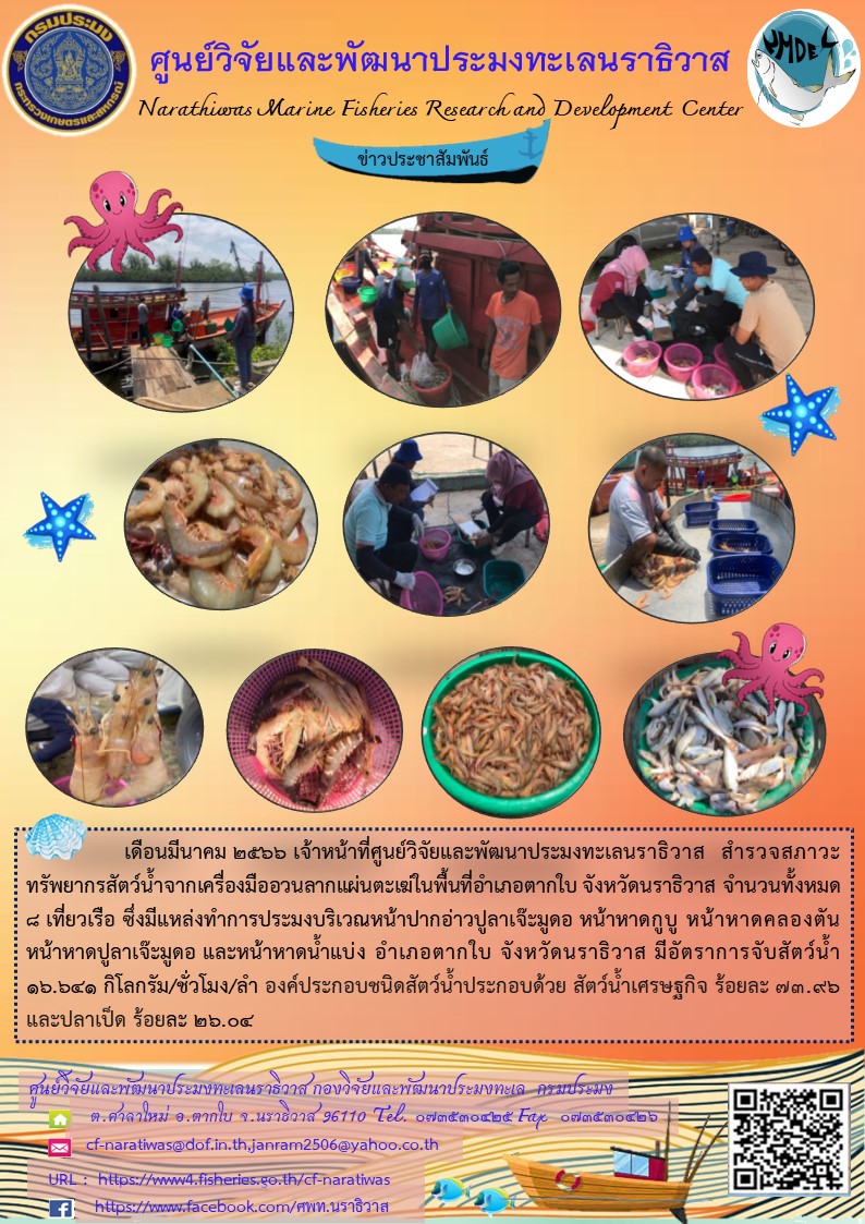 เดือนมีนาคม 2566 เจ้าหน้าที่ศูนย์วิจัยและพัฒนาประมงทะเลนราธิวาส สำรวจภาวะทรัพยากรสัตว์น้ำจากเครื่องมืออวนลากแผ่นตะเฆ่ในพื้นที่อำเภอตากใบ จังหวัดนราธิวาส จำนวนทั้งหมด 8 เที่ยวเรือ ซึ่งมีแหล่งทำการประมงบริเวณหน้าปากป่าวปูลาเจ๊ะมูดอ หน้าหาดกูบู หน้าหาดคลองตัน หน้าหาดปูลาเจ๊ะมูดอ และหน้าหาดน้ำแบ่ง อำเภอตากใบ จังหวัดนราธิวาส มีอัตราการจับสัตว์น้ำ 16.641 กิโลกรัม/ชั่วโมง/ลำ องค์ประกอบชนิดสัตว์น้ำประกอบด้วย สัตว์น้ำเศรษฐกิจ ร้อยละ 73.96 และปลาเป็ด ร้อยละ 26.04..คลิก