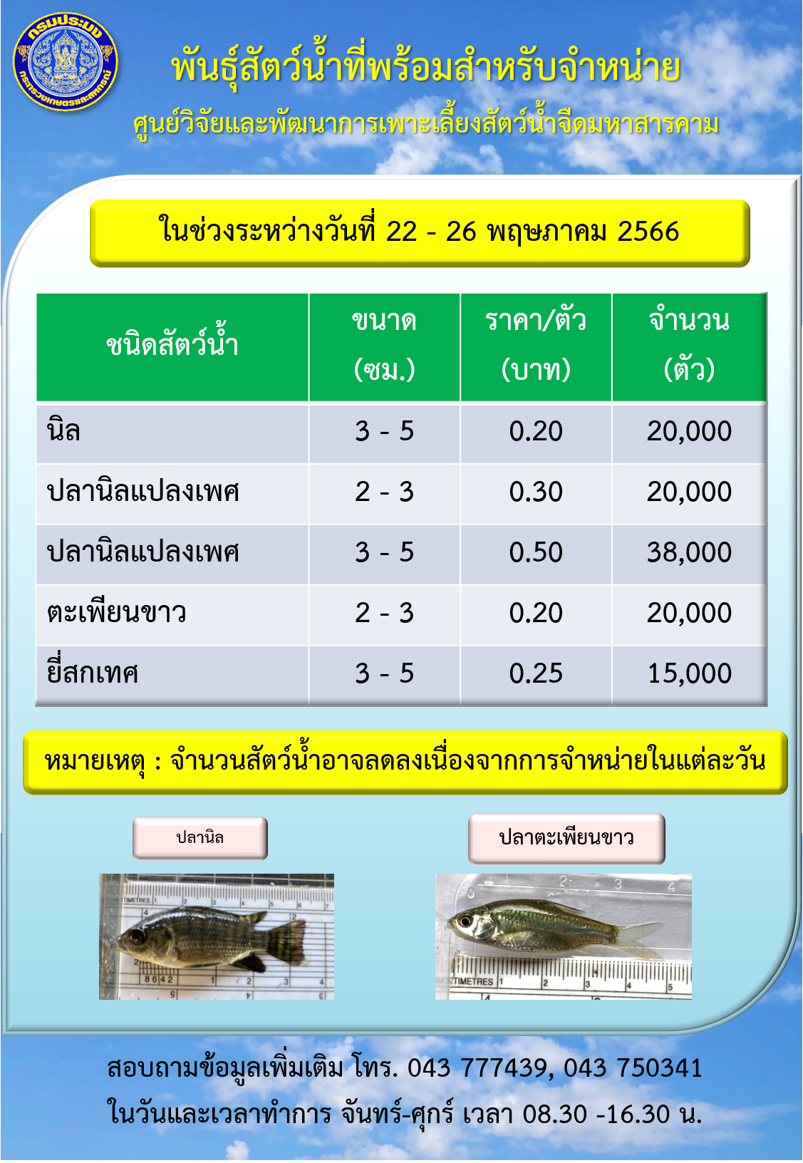 พันธุ์สัตว์น้ำที่พร้อมสำหรับจำหน่าย ระหว่างวันที่ 22 – 26 พฤษภาคม 2565..คลิก