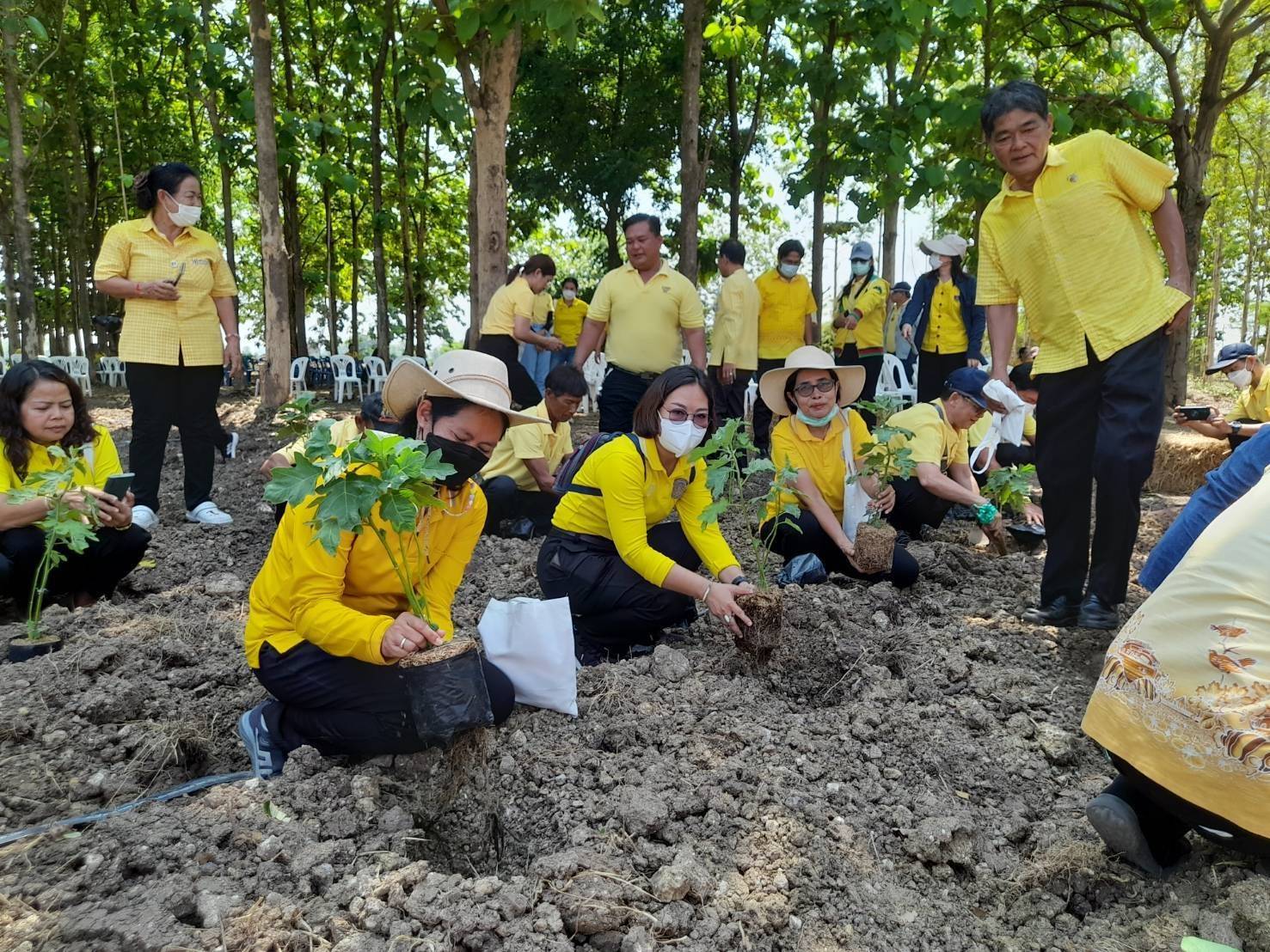 กิจกรรม Kick Off  “โครงการ 1 หมู่บ้าน 1 ทางนี้มีผล ผู้คนรักกัน”..คลิก