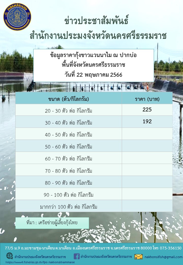 ราคากุ้งขาวแวนนาไม ณ ปากบ่อ พื้นที่จังหวัดนครศรีธรรมราช วันที่ 22 พฤษภาคม 2566..คลิก