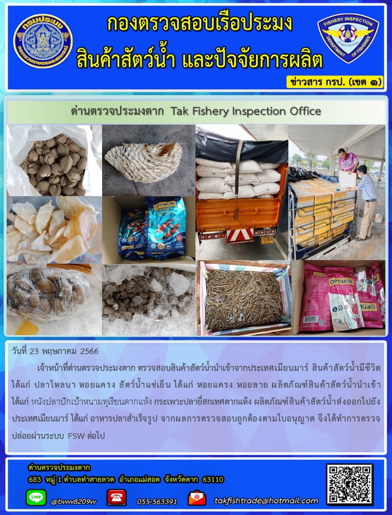 วันที่ 23 พฤษภาคม 2566           เจ้าหน้าที่ด่านตรวจประมงตาก ตรวจสอบสินค้าสัตว์น้ำนำเข้าจากประเทศเมียนมาร์ สินค้าสัตว์น้ำมีชีวิต ได้แก่ ปลาไหลนา หอยแครง สัตว์น้ำแช่เย็น ได้แก่ หอยแครง หอยลาย ผลิตภัณฑ์สินค้าสัตว์น้ำนำเข้า ได้แก่ หนังปลาปักเป้าหนามทุเรียนตากแห้ง กระเพาะปลายี่สกเทศตากแห้ง ผลิตภัณฑ์สินค้าสัตว์น้ำส่งออกไปยังประเทศเมียนมาร์ ได้แก่ อาหารปลาสำเร็จรูป จากผลการตรวจสอบถูกต้องตามใบอนุญาต จึงได้ทำการตรวจปล่อยผ่านระบบ FSW ต่อไป..คลิก