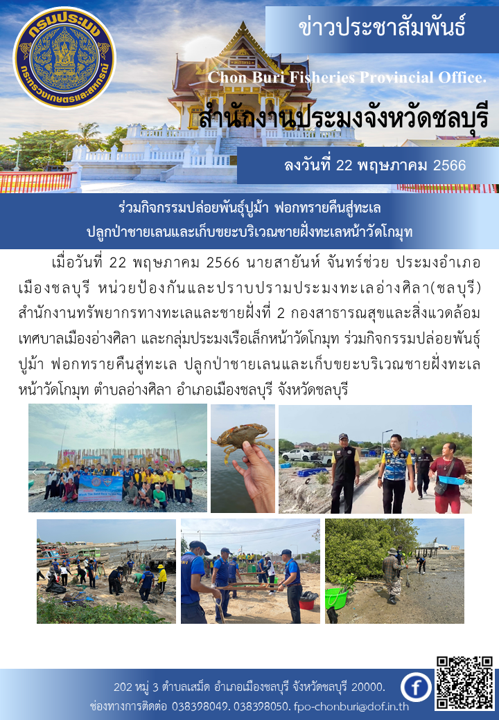ร่วมกิจกรรมปล่อยพันธุ์ปูม้า ฟอกทรายคืนสู่ทะเล ปลูกป่าชายเลนและเก็บขยะบริเวณชายฝั่งทะเลหน้าวัดโกมุท..คลิก