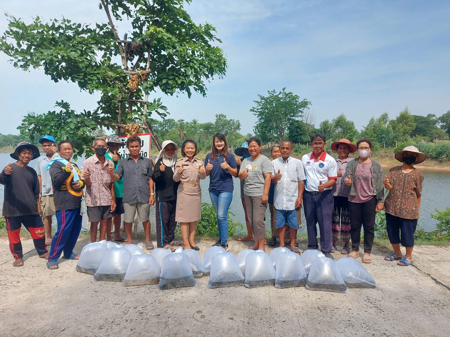 สนับสนุนพันธุ์ปลานิลแปลงเพศโครงการธนาคารสินค้าเกษตร ปี 2566..คลิก