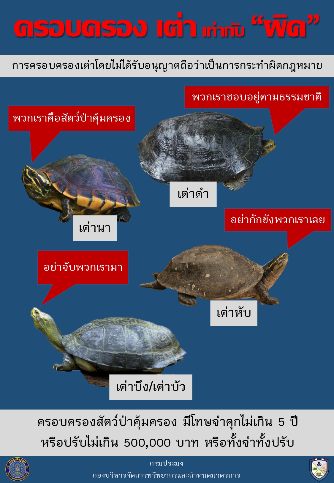 การครอบครองเต่าโดยไม่ได้รับอนุญาตถือว่าเป็นการกระทำผิดกฎหมาย..คลิก