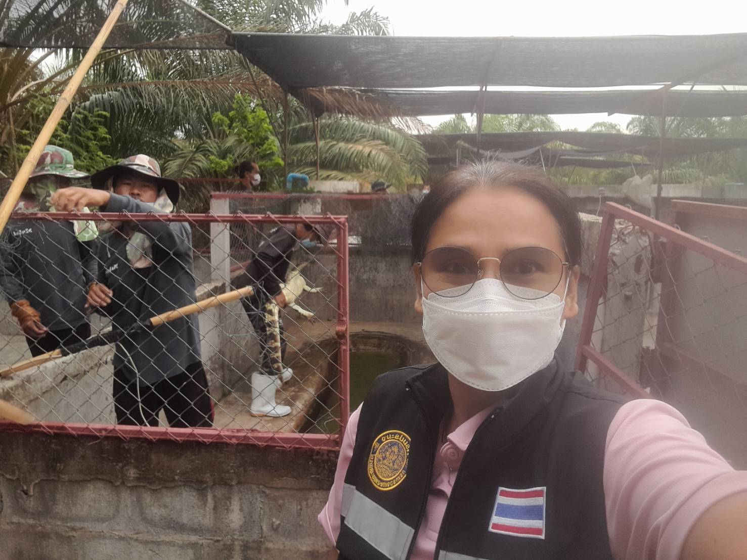วันที่ 23 พฤษภาคม 2566          นางสาวมลฤดี  ลิ้มสุวรรณ ประมงอำเภอศรีบุญเรือง ปฏิบัติงานตรวจสอบการเคลื่อนย้ายจระเข้ ซึ่งเป็นกิจการการเพาะเลี้ยงสัตว์น้ำควบคุม ออกจากสถานประกอบกิจการเพื่อการจำหน่าย ของฟาร์มเลี้ยงจระเข้ 