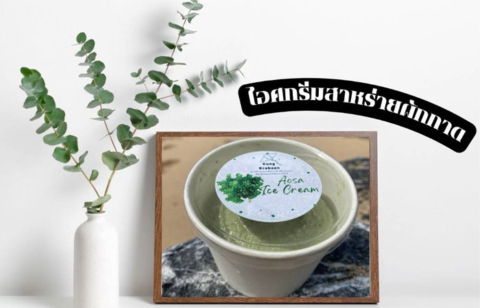 การแปรรูปสาหร่ายผักกาดทะเล