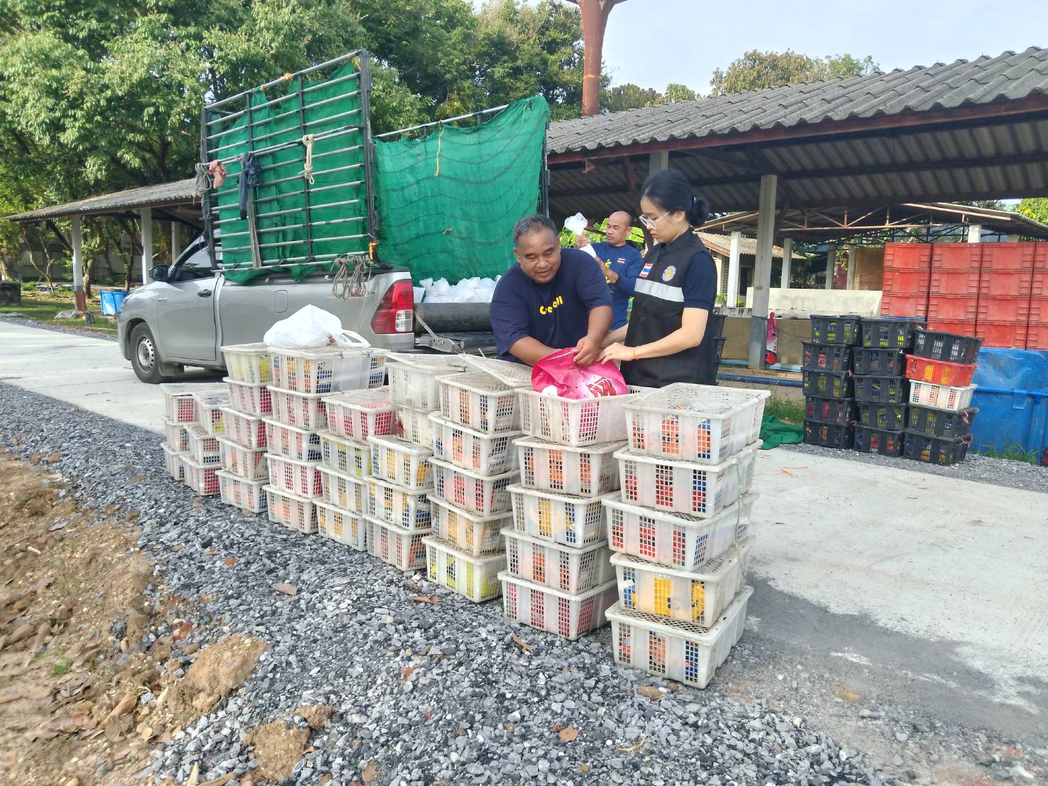 ตรวจสอบลูกพันธุ์สัตว์น้ำ ส่งออกไปยัง สปป.ลาว..คลิก