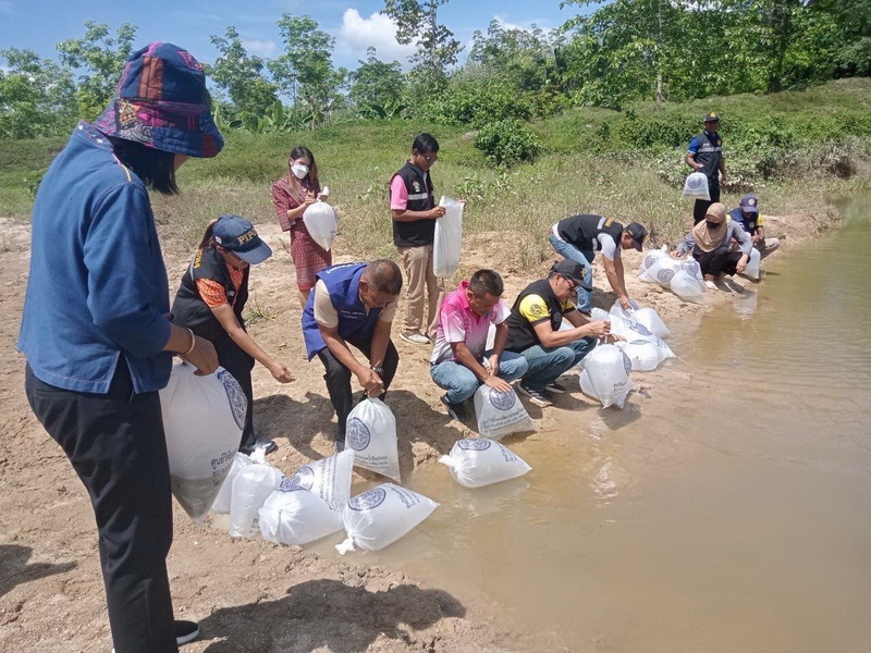 สนับสนุนพันธุ์ปลากินพืช เพื่อปล่อยลงสู่ฝายหลักสาม อ.กงหรา จ.พัทลุง..คลิก