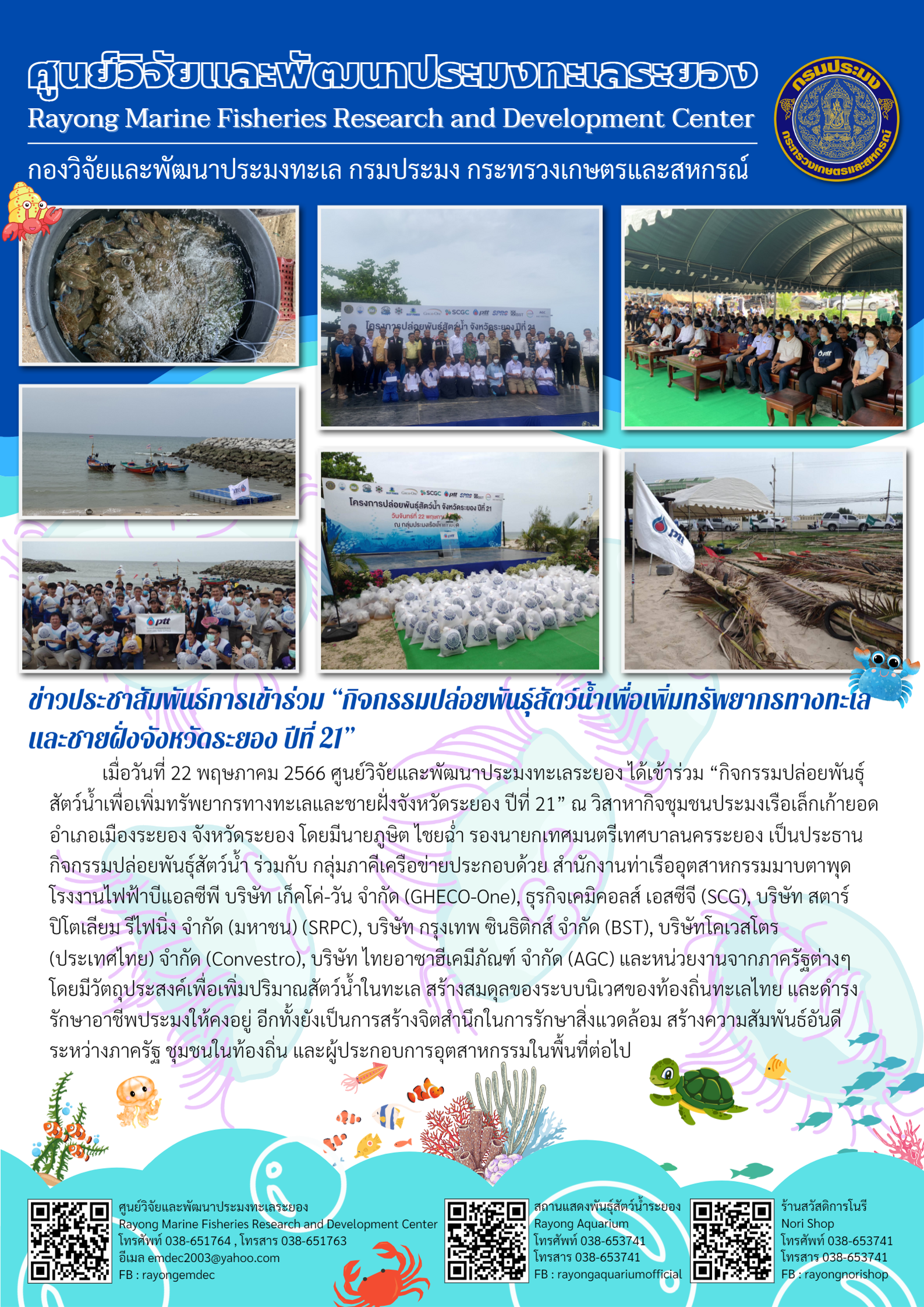 เมื่อวันที่ 22 พฤษภาคม 2566 ศูนย์วิจัยและพัฒนาประมงทะเลระยอง ได้เข้าร่วม “กิจกรรมปล่อยพันธุ์สัตว์น้ำเพื่อเพิ่มทรัพยากรทางทะเลและชายฝั่งจังหวัดระยอง ปีที่ 21” ณ วิสาหกิจชุมชนประมงเรือเล็กเก้ายอด อำเภอเมืองระยอง จังหวัดระยอง โดยมีนายภูษิต ไชยฉ่ำ รองนายกเทศมนตรีเทศบาลนครระยอง เป็นประธานกิจกรรมปล่อยพันธ์สัตว์น้ำ ร่วมกับ กลุ่มภาคีเครือข่ายประกอบด้วย สำนักงานท่าเรืออุตสาหกรรมมาบตาพุด โรงงานไฟฟ้าบีแอลซีพี บริษัท เก็คโค่-วัน จำกัด (GHECO-One), ธุรกิจเคมีคอส เอสซีจี (SCG), บริษัท สตาร์ ปิโตเลียม รีไฟนิ่ง จำกัด (มหาชน) (SRPC), บริษัท กรุงเทพ ซินธิติกส์ จำกัด (BST), บริษัทโคเวสโตร (ประเทศไทย) จำกัด (Convestro), บริษัท ไทยอาซาฮีเคมีภัณฑ์ จำกัด (AGC) และหน่วยงานจากภาครัฐต่างๆ โดยมีวัตถุประสงค์เพื่อเพิ่มปริมาณสัตว์น้ำในทะเล สร้างสมดุลของระบบนิเวศของท้องถิ่นทะเลไทย และดำรงรักษาอาชีพประมงให้คงอยู่ อีกทั้งยังเป็นการสร้างจิตสำนึกในการรักษาสิ่งแวดล้อม สร้างความสัมพันธ์อันดีระหว่างภาครัฐ ชุมชนในท้องถิ่น และผู้ประกอบการอุตสาหกรรมในพื้นที่ต่อไป..คลิก