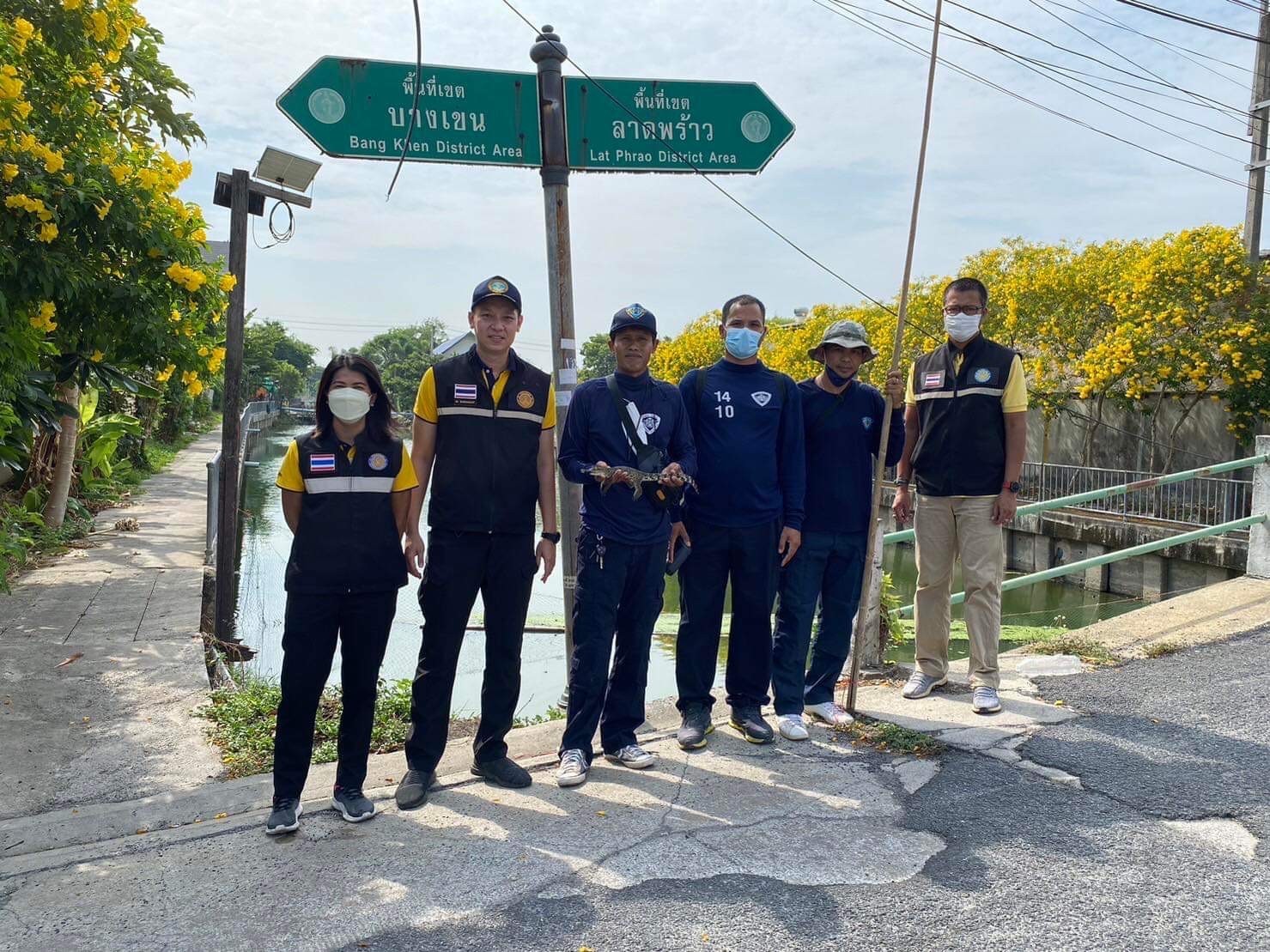 ลงพื้นตรวจสอบและจับจระเข้บริเวณวัดไตรรัตนาราม คลองหลุมไผ่ แขวงอนุสาวรีย์ เขตบางเขน กรุงเทพฯ..คลิก