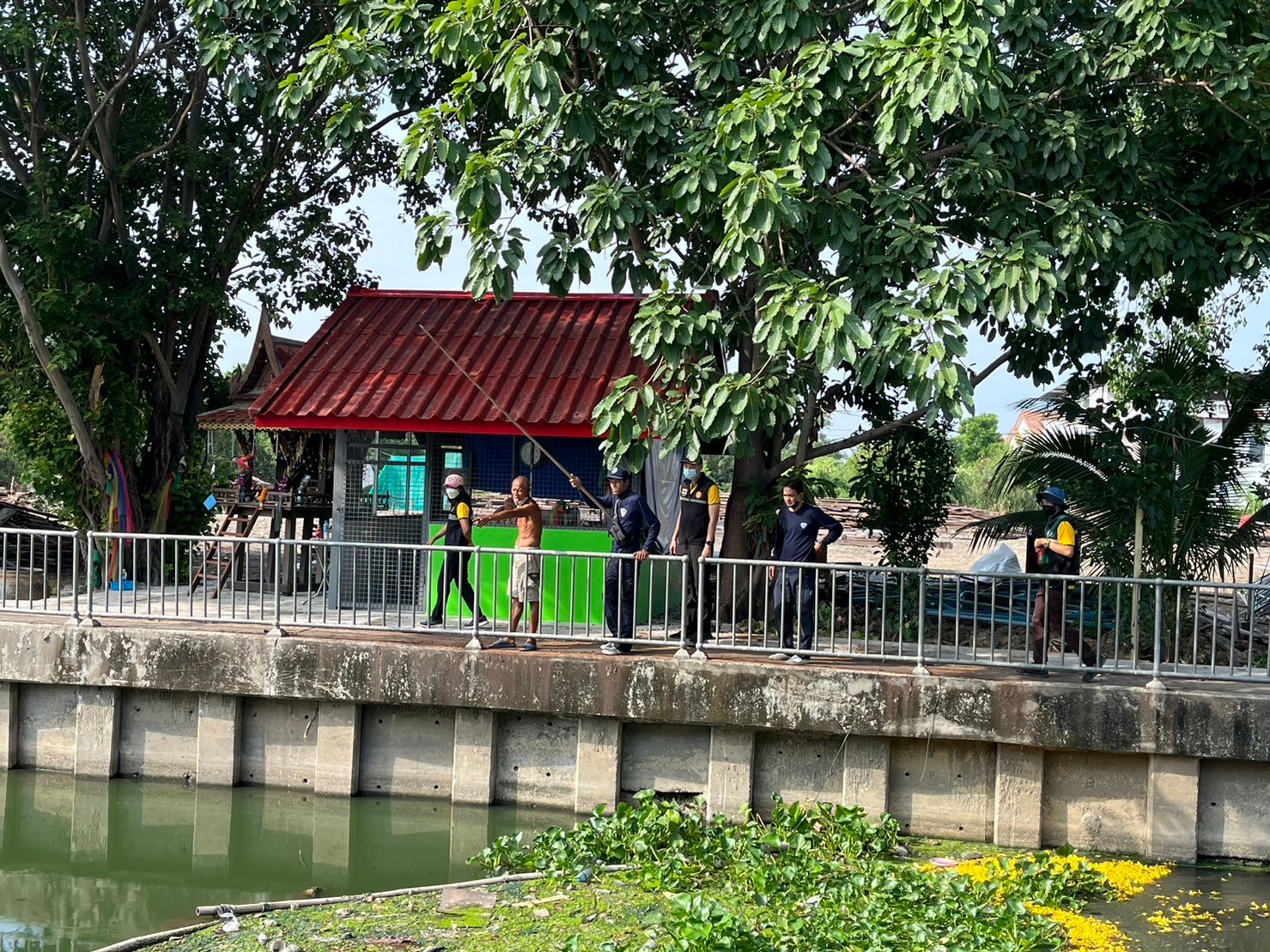 ลงพื้นตรวจสอบและจับจระเข้บริเวณวัดไตรรัตนาราม คลองหลุมไผ่ แขวงอนุสาวรีย์ เขตบางเขน กรุงเทพฯ