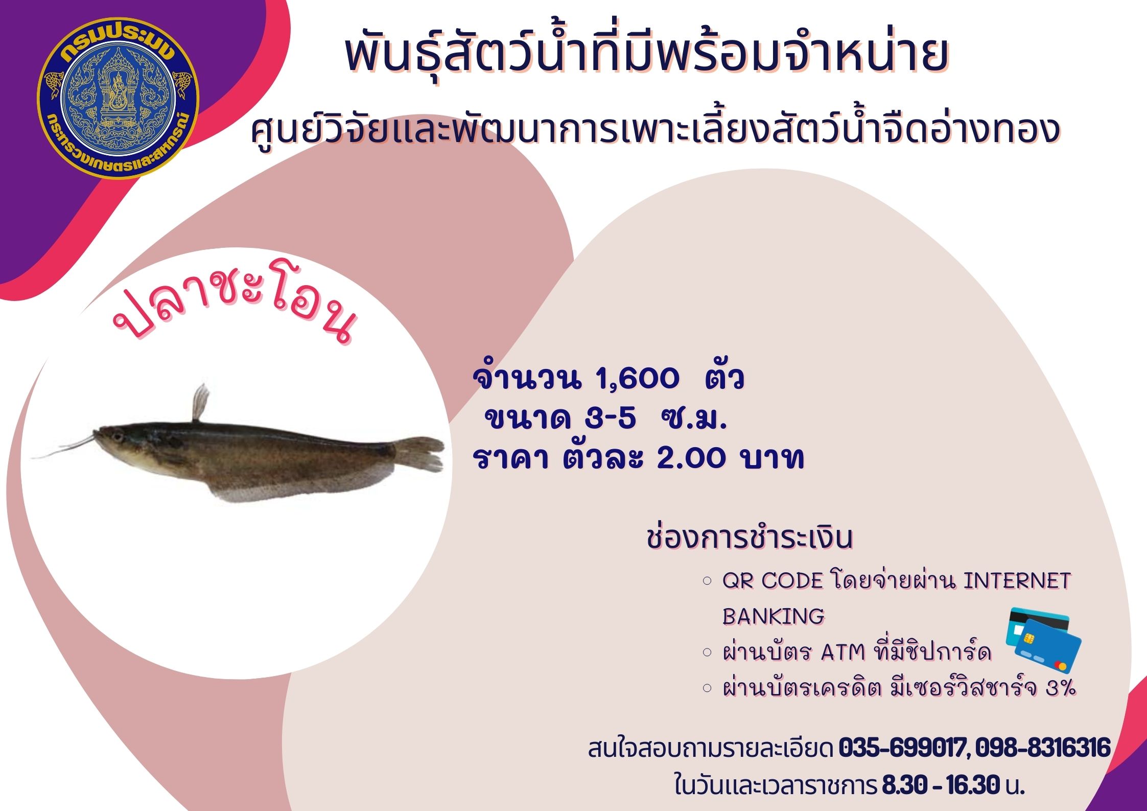 พันธุ์สัตว์น้ำที่มีพร้อมจำหน่าย..คลิก