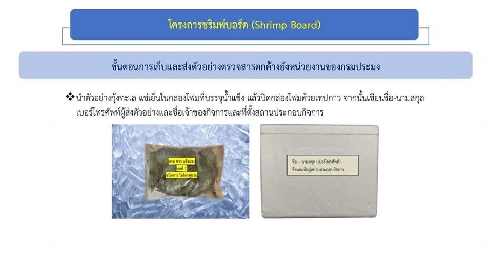 โครงการรักษาเสถียรภาพราคากุ้งขาวแวนนาไม..คลิก
