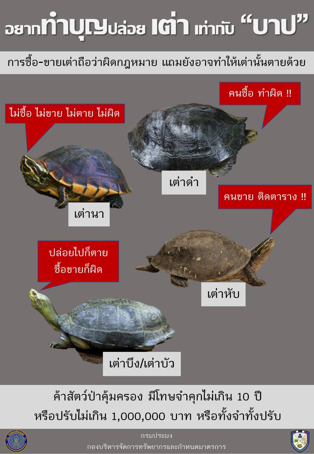 เต๋า..คลิก
