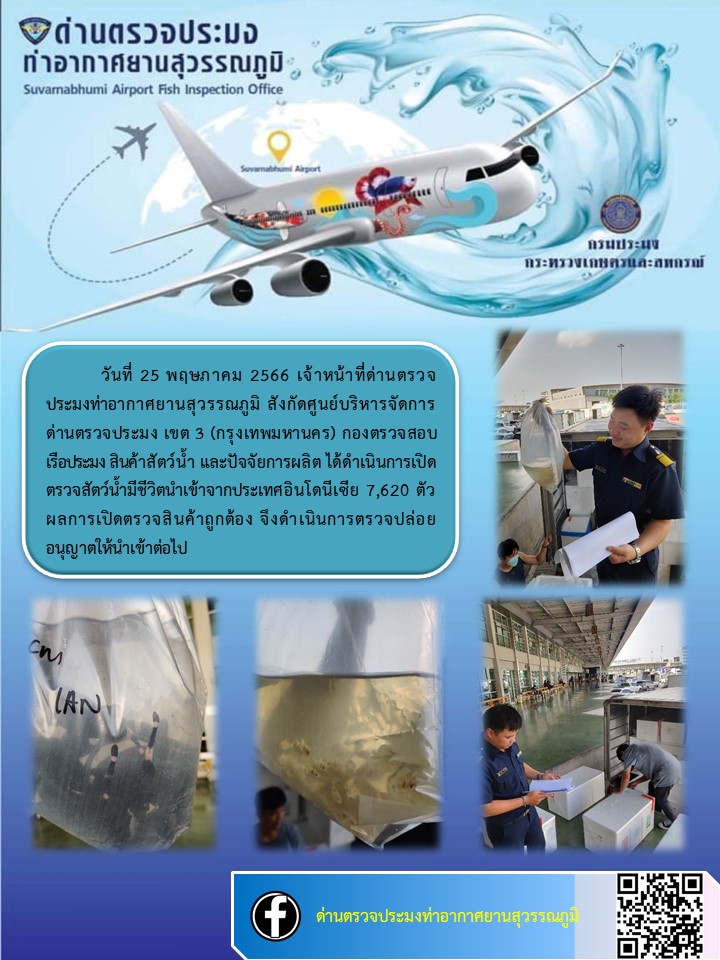 เจ้าหน้าที่ด่านตรวจประมงท่าอากาศยานสุวรรณภูมิ  เปิดตรวจปลาสวยงามมีชีวิต นำเข้า