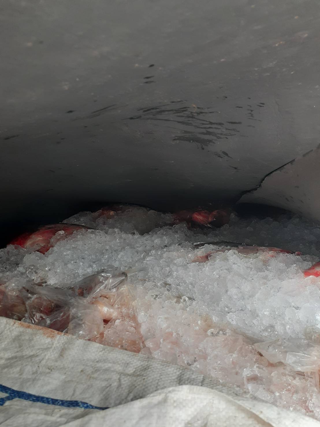 ผลการปฏิบัติงานด่านตรวจประมงสุรินทร์..คลิก