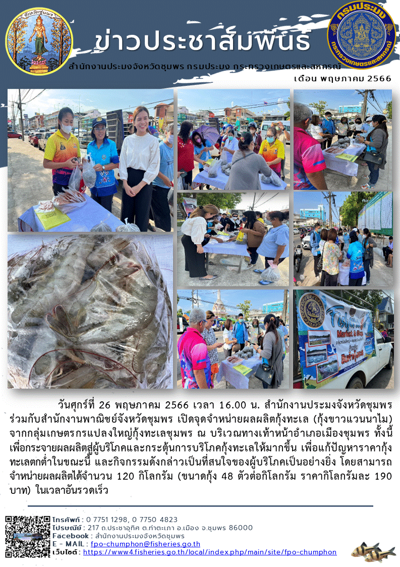 เปิดจุดจำหน่ายผลผลิตกุ้งทะเล (กุ้งขาวแวนนาไม) จากกลุ่มเกษตรกรแปลงใหญ่กุ้งทะเลชุมพร ณ บริเวณทางเท้าหน้าอำเภอเมืองชุมพร..คลิก