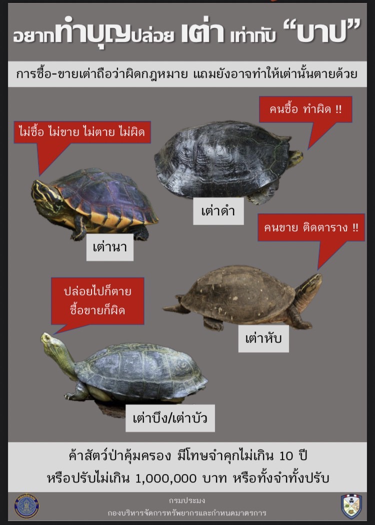 กฎหมายน่ารู้ : รู้หรือยัง พ.ร.บ. สงวนและคุ้มครองสัตว์ป่า พ.ศ. 2562 เรื่องของเต่า อยากทำบุญปล่อย เต่า เท่ากับ บาป!!!..คลิก