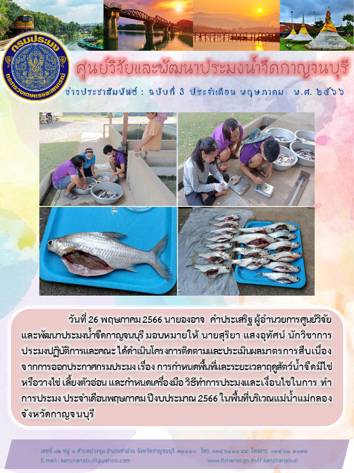 ศูนย์วิจัยเเละพัฒนาประมงน้ำจืดกาญจนบุรี...ได้ดำเนินโครงการติดตามเเละประเมินผลมาตรการสืบเนื่องจากการออกประกาศกรมประมง เรื่อง กำหนดพื้นที่เเละระยะเวลาสัตว์น้ำว่างไข่ฯ ประจำเดือน พฤษภาคม 2566..คลิก