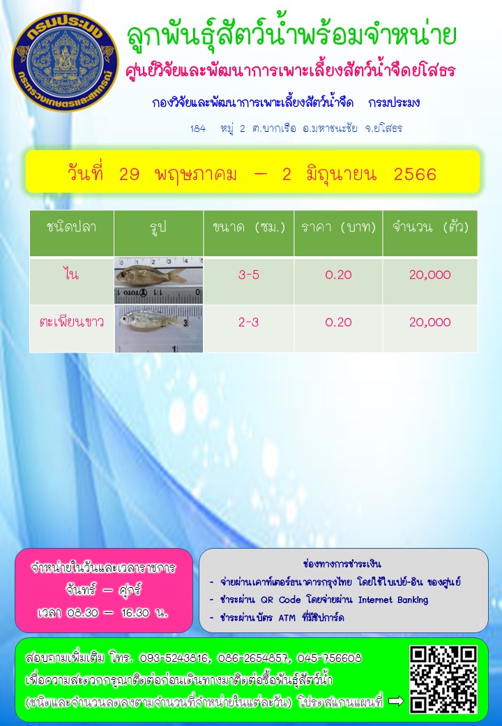 ลูกพันธุ์สัตว์น้ำพร้อมจำหน่าย 29 พ.ค. - 2 มิ.ย. 2566..คลิก