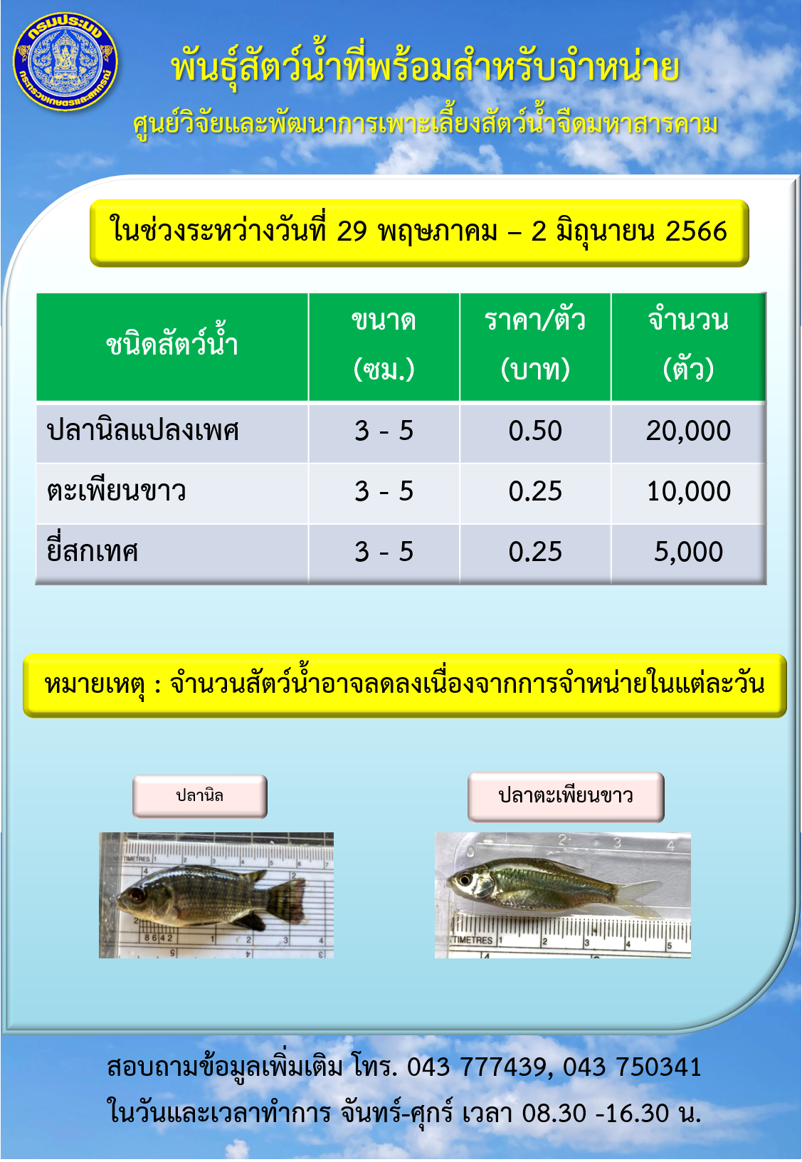 พันธุ์สัตว์น้ำที่พร้อมสำหรับจำหน่าย ระหว่างวันที่ 29 พฤษภาคม - 2 มิถุนายน 2566..คลิก