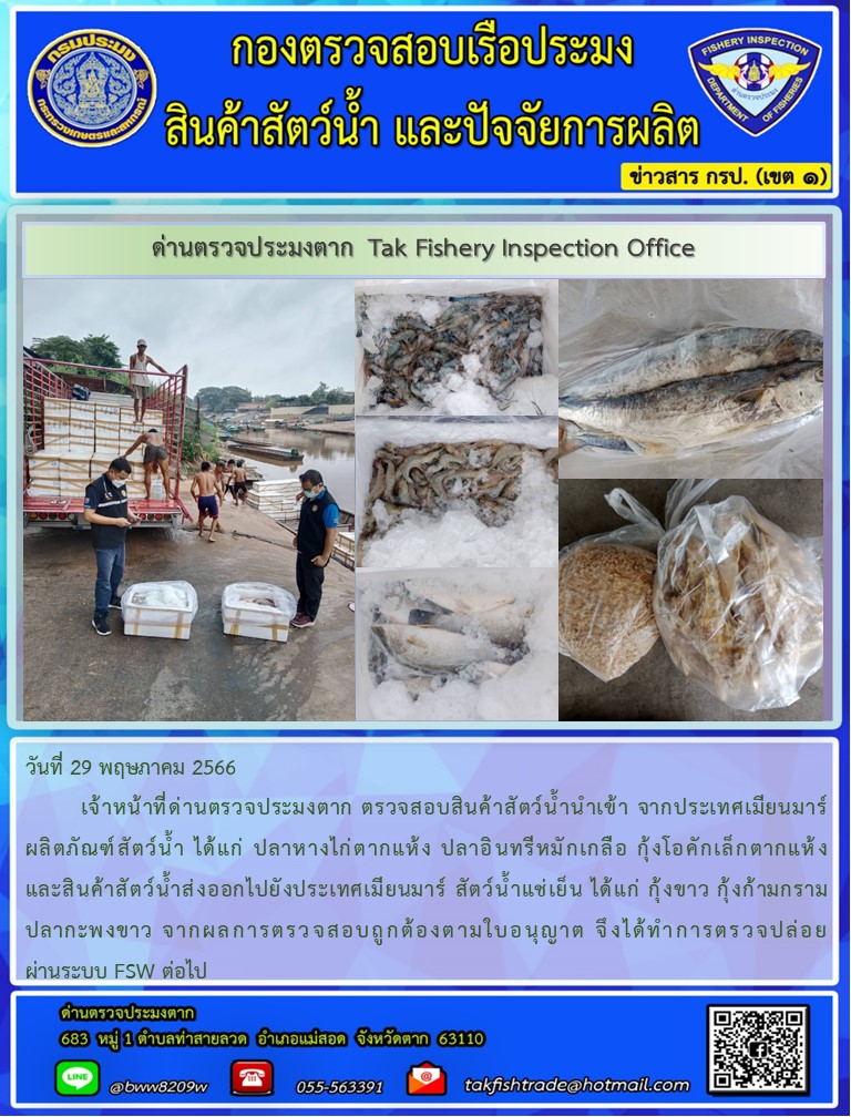 วันที่ 29 พฤษภาคม 2566           เจ้าหน้าที่ด่านตรวจประมงตาก ตรวจสอบสินค้าสัตว์น้ำนำเข้า จากประเทศเมียนมาร์ ผลิตภัณฑ์สัตว์น้ำ ได้แก่ ปลาหางไก่ตากแห้ง ปลาอินทรีหมักเกลือ กุ้งโอคักเล็กตากแห้ง และสินค้าสัตว์น้ำส่งออกไปยังประเทศเมียนมาร์ สัตว์น้ำแช่เย็น ได้แก่ กุ้งขาว กุ้งก้ามกราม ปลากะพงขาว จากผลการตรวจสอบถูกต้องตามใบอนุญาต จึงได้ทำการตรวจปล่อยผ่านระบบ FSW ต่อไป..คลิก