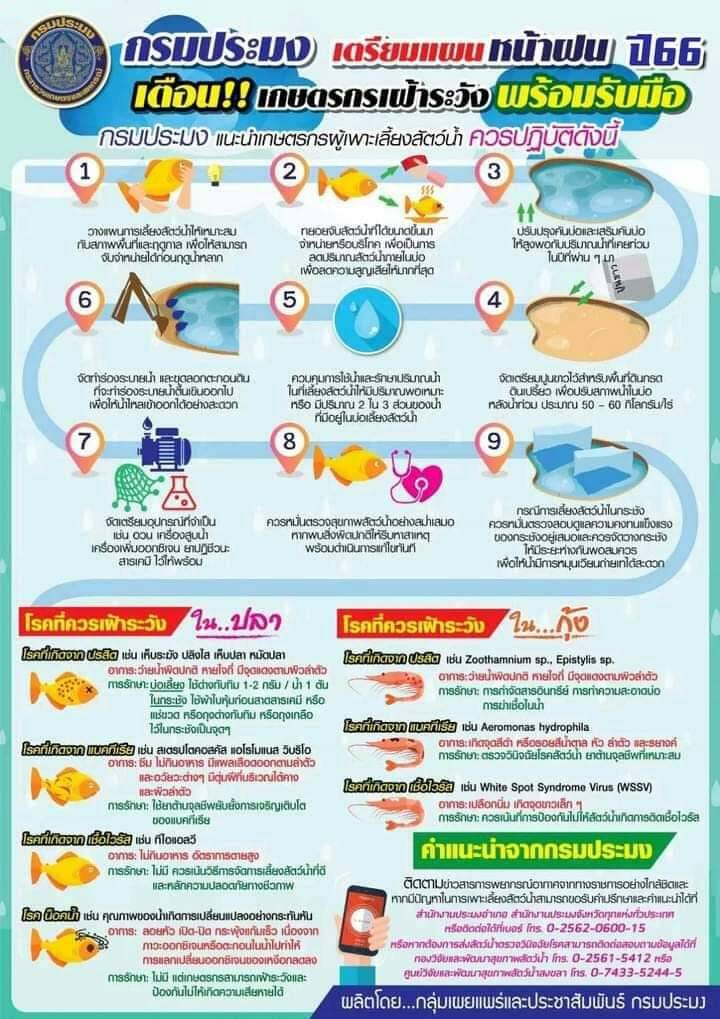กรมประมงเตือน เฝ้าระวังสัตว์น้ำ ในช่วงฤดูฝน..คลิก