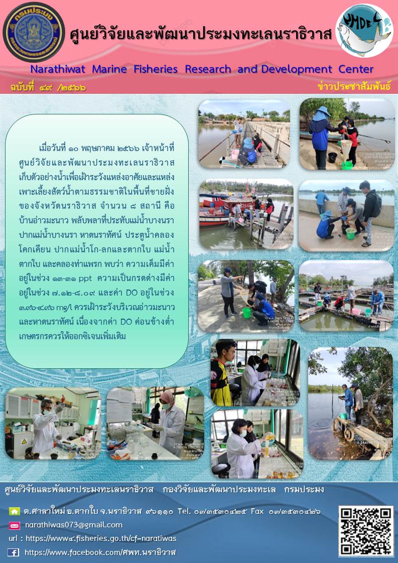 เฝ้าระวังแหล่งอาศัยและแหล่งเพาะเลี้ยงสัตว์น้ำตามธรรมชาติในพื้นที่ชายฝั่งของจังหวัดนราธิวาส