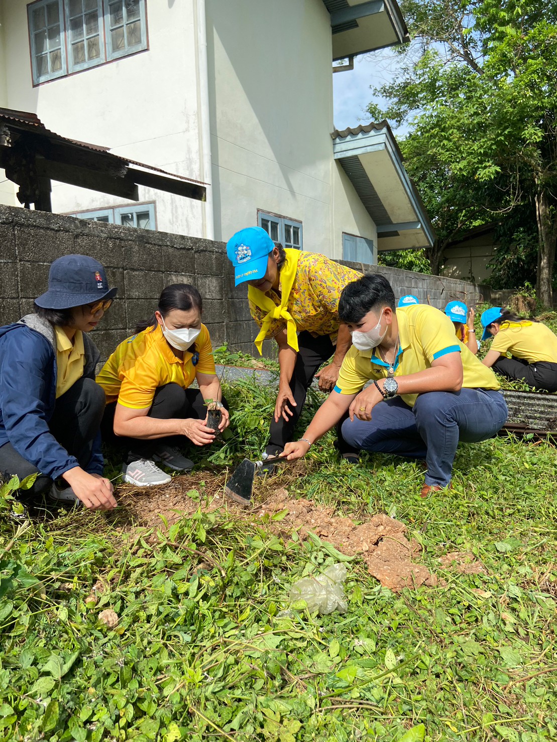 ประมงจังหวัดพัทลุง พร้อมด้วย เจ้าหน้าที่สำนักงานประมงจังหวัดพัทลุง จัดกิจกรรมปลูกต้นไม้และพัฒนาบริเวณบ้านพักประมงจังหวัดพัทลุง และบ้านพักประมงอำเภอเมืองพัทลุง เนื่องในวันต้นไม้ประจำปีของชาติ พ.ศ. 2566  (วันที่ 3 มิถุนายน 2566)..คลิก