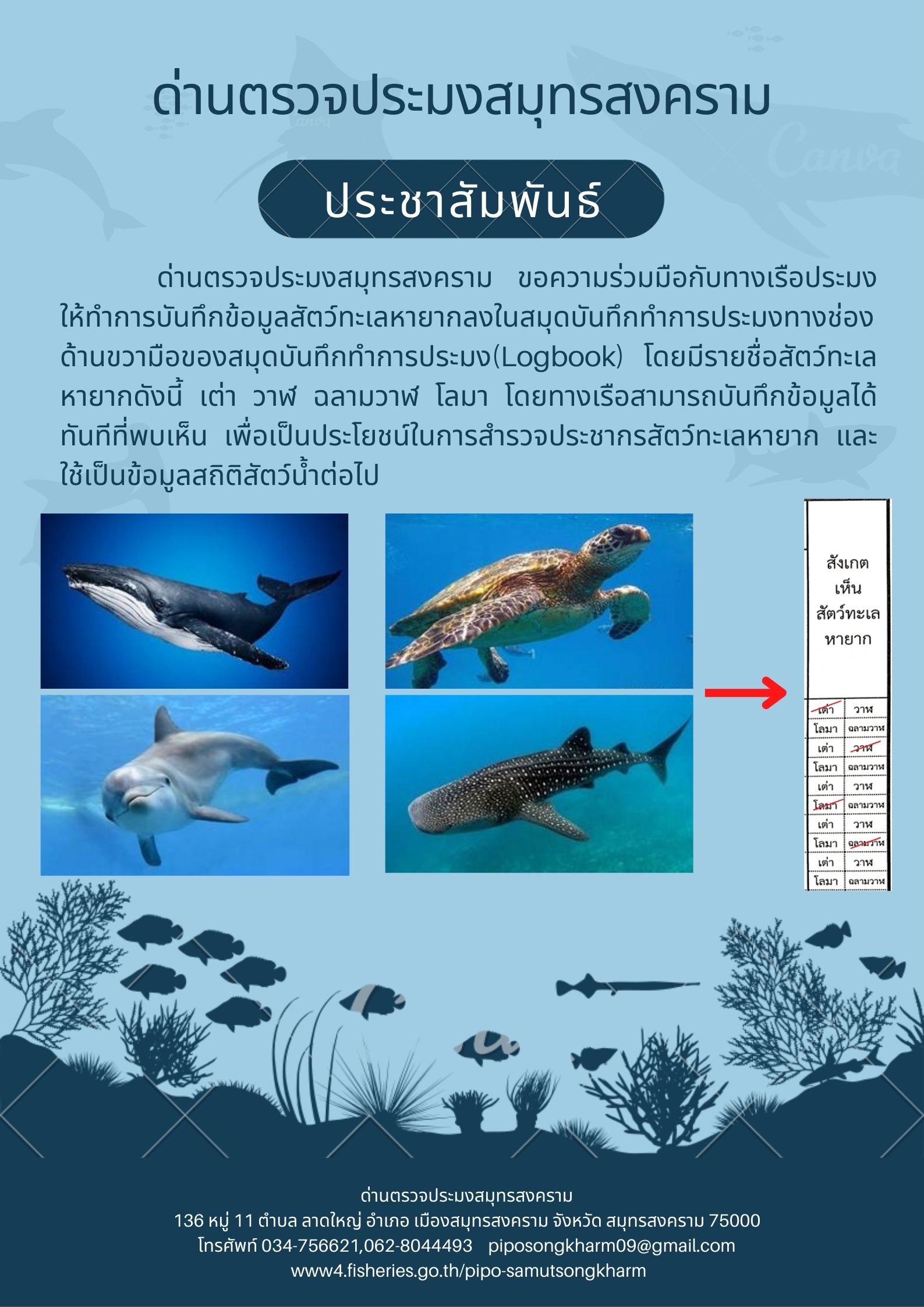 ประชาสัมพันธ์ สัตว์ทะเลหายาก..คลิก
