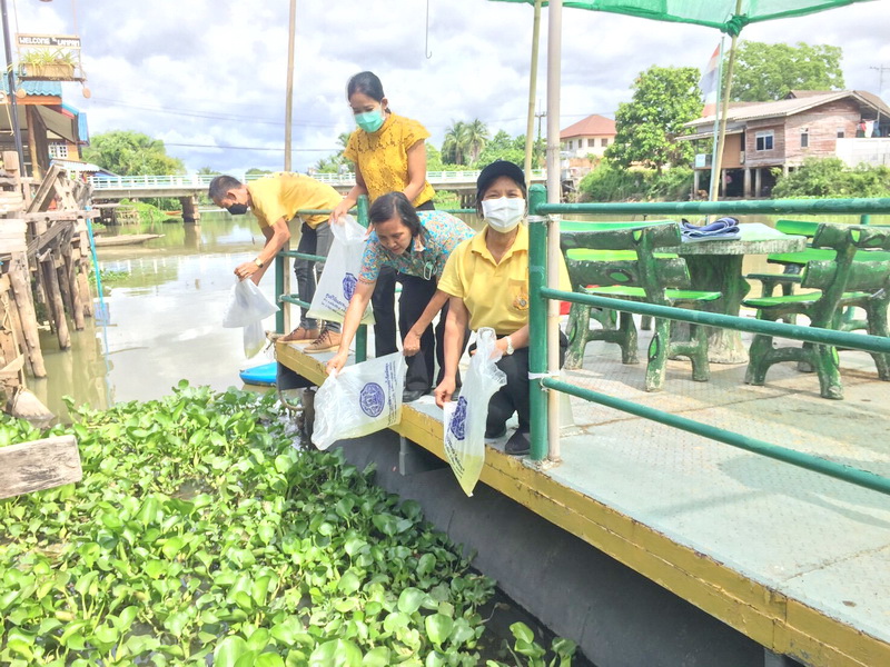 ปล่อยพันธุ์กุ้งก้ามกราม ลงสู่คลองลำปำ อ.เมือง จ.พัทลุง..คลิก