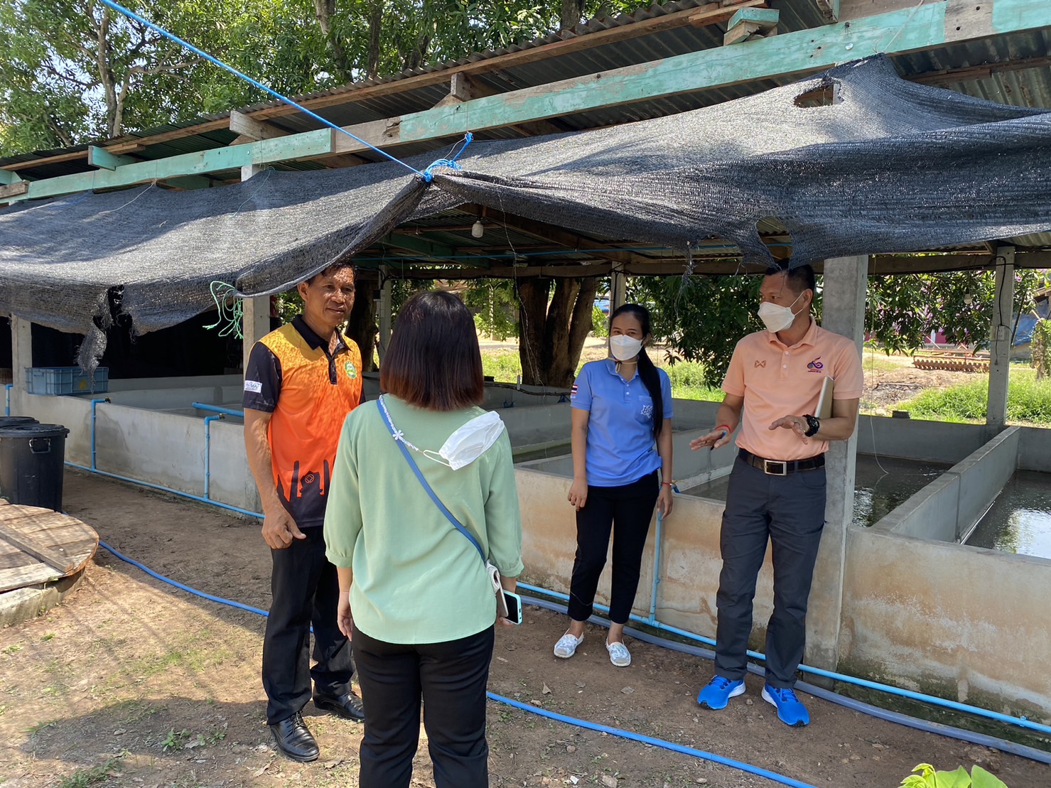 ติดตามการดำเนินงานโครงการส่งเสริมอาชีพประมง กิจกรรมส่งเสริมการเพาะเลี้ยงและพัฒนาธุรกิจสัตว์น้ำจืดที่มีความสำคัญทางเศรษฐกิจ (ปลาช่อน)..คลิก