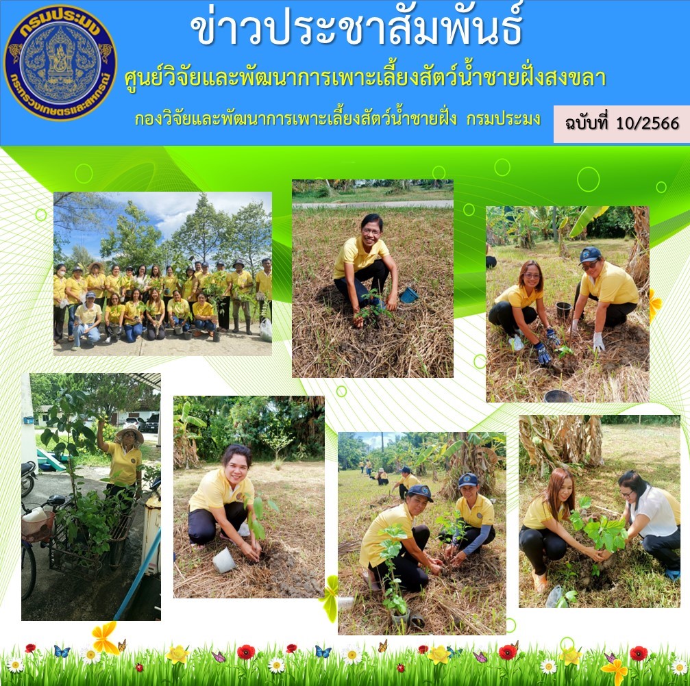 นางสาวปริศนา คลิ้งสุขคล้าย ผู้อำนวยการศูนย์วิจัยและพัฒนาการเพาะเลี้ยงสัตว์น้ำชายฝั่งสงขลา พร้อมด้วยข้าราชการ  พนักงานเจ้าหน้าที่ ร่วมกันปลูกต้นไม้ภายในศูนย์ฯ เนื่องในวันต้นไม้แห่งชาติ ประจำปี พ.ศ.2566..คลิก