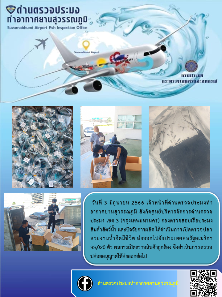 เจ้าหน้าที่ด่านตรวจประมงท่าอากาศยานสุวรรณภูมิ เปิดตรวจการส่งออกสินค้าสัตว์น้ำ ประเภทปลาสวยงามมีชีวิต