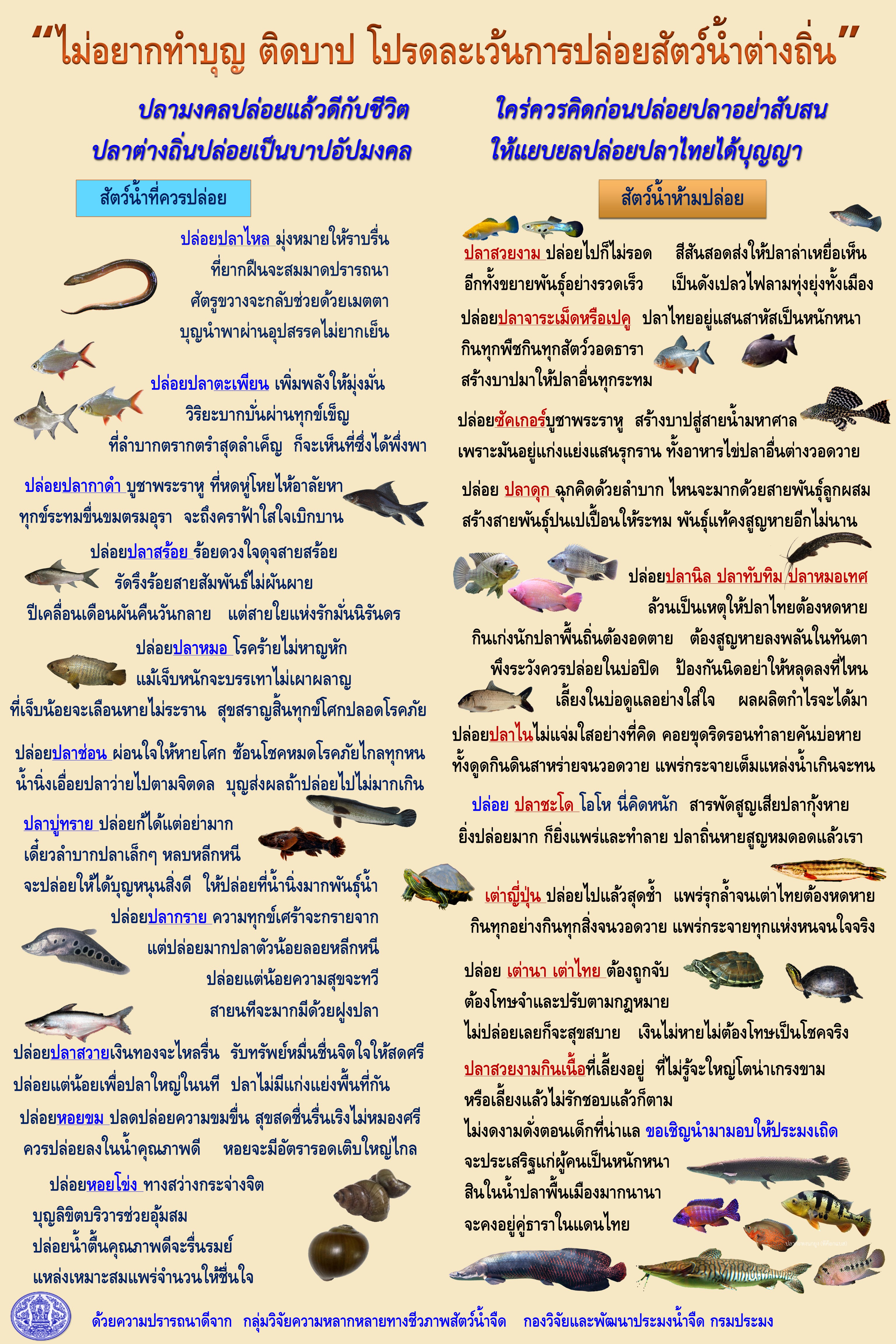 ปล่อยปลาได้บุญ ไม่เบียดเบียนสัตว์อื่น..คลิก